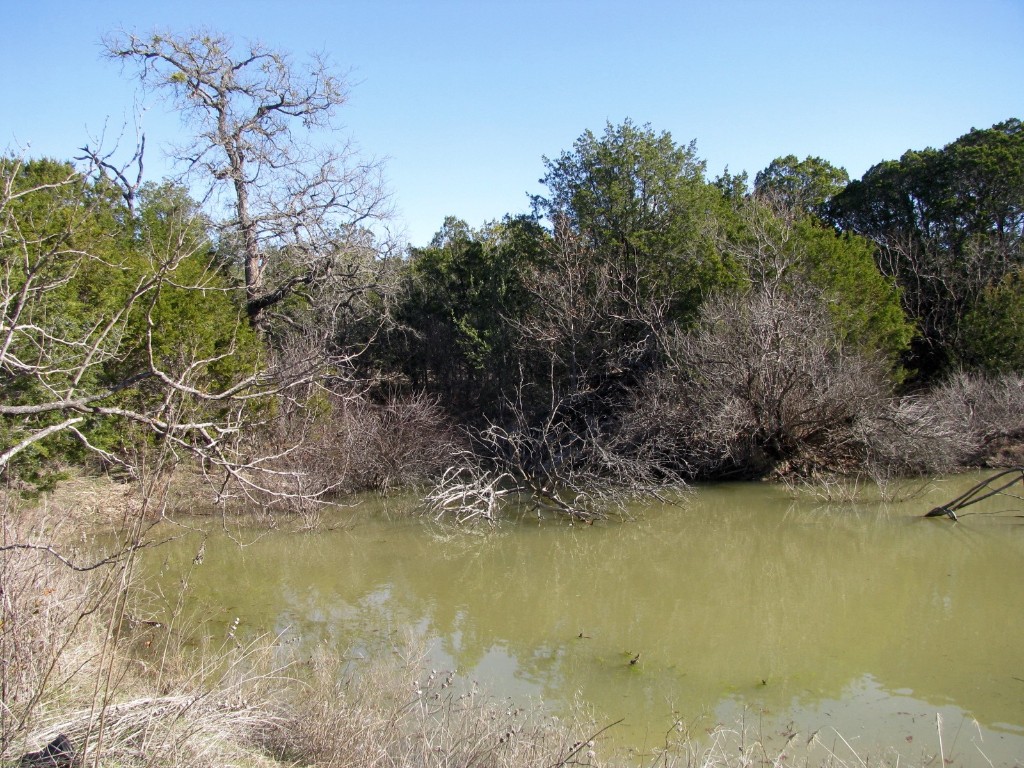 Lot 3 Ph 6 County Road 421 Evant TX 76525