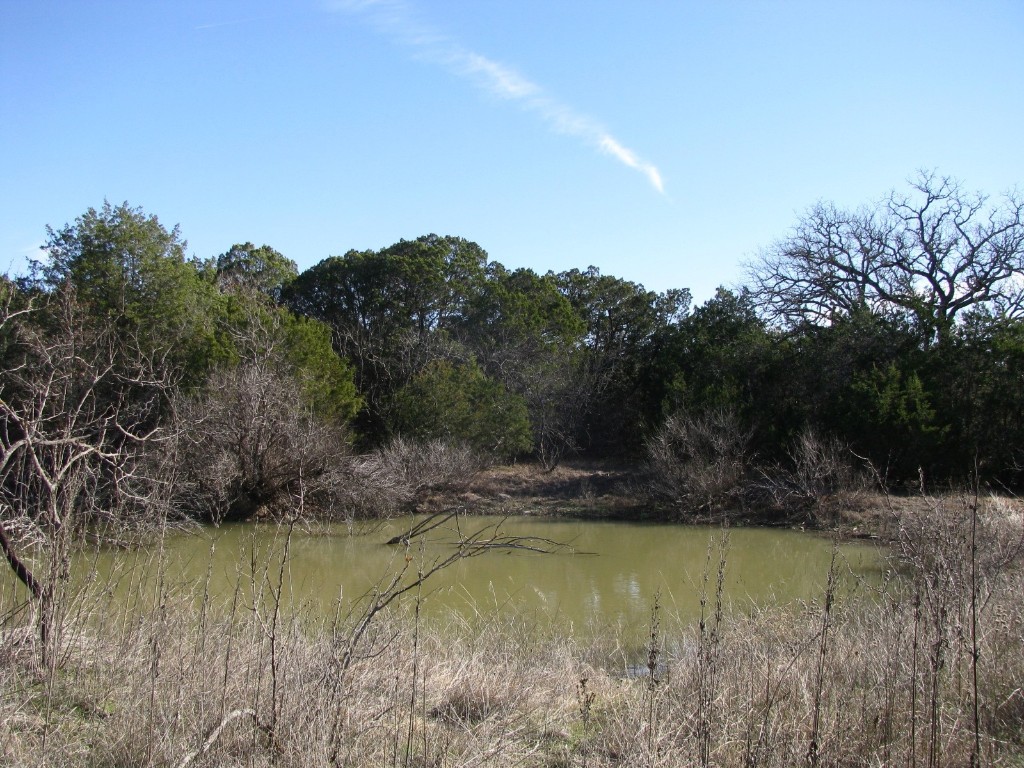 Lot 3 Ph 6 County Road 421 Evant TX 76525