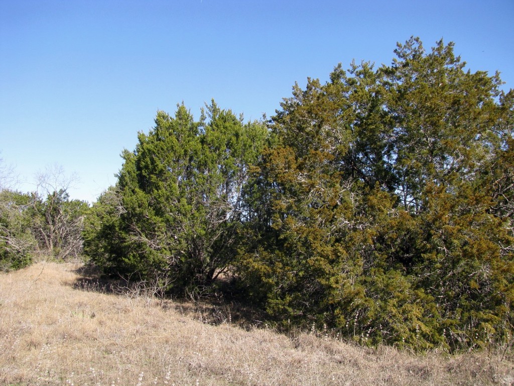 Lot 3 Ph 6 County Road 421 Evant TX 76525
