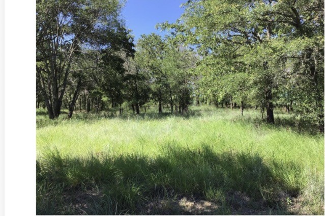 0 Cozy Cove Court Chico TX 76431
