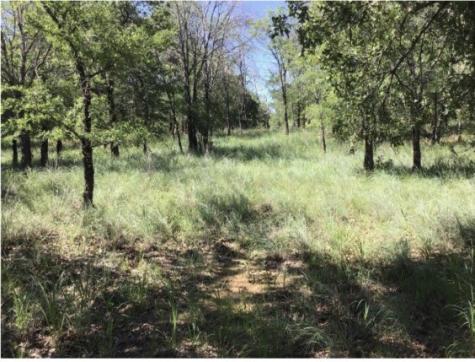 0 Cozy Cove Court Chico TX 76431