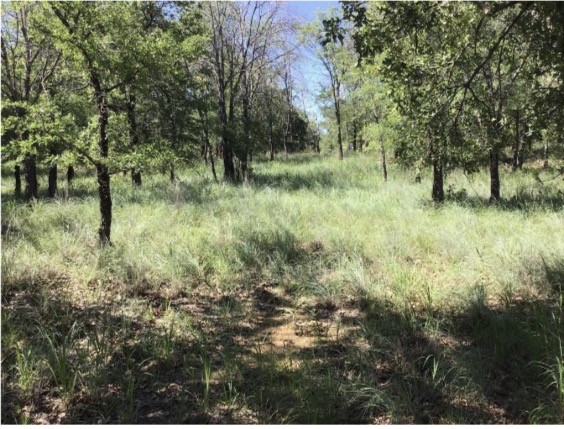 0 Cozy Cove Court Chico TX 76431