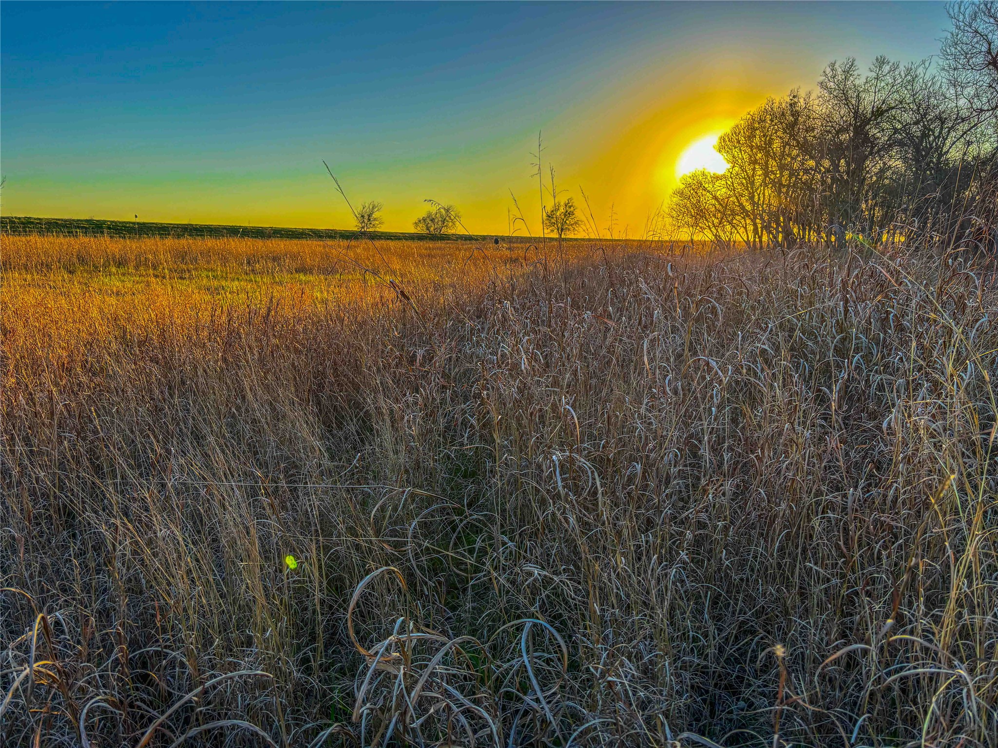 Tbd Round Hall Road Holland TX 76534