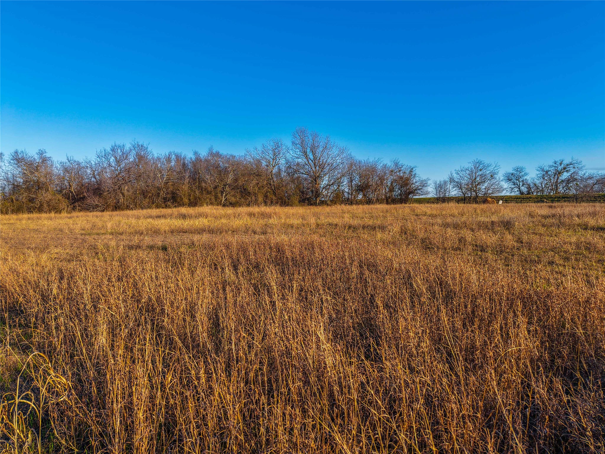 Tbd Round Hall Road Holland TX 76534