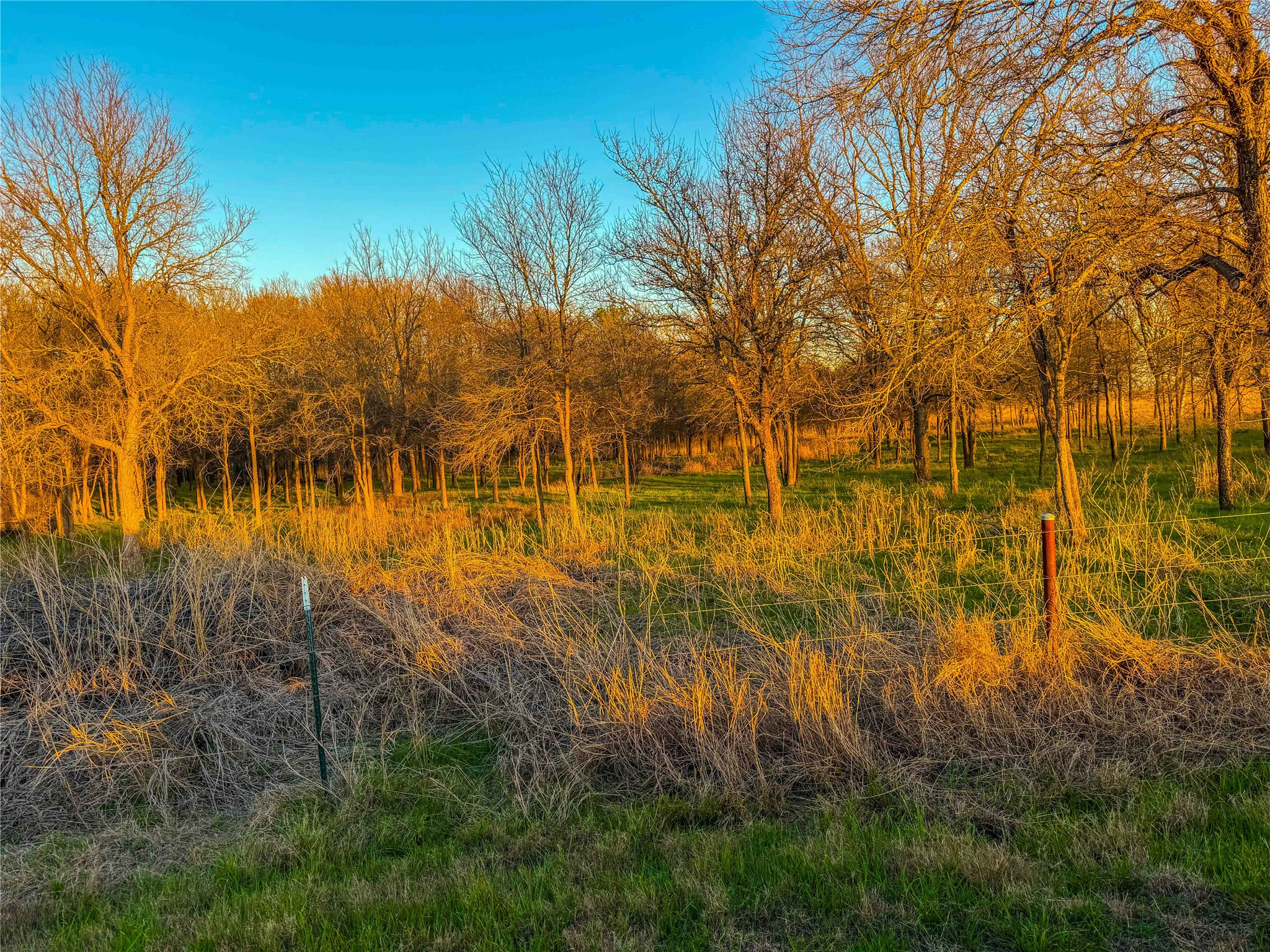 Tbd Round Hall Road Holland TX 76534