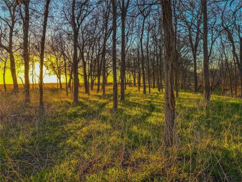 Tbd Round Hall Road Holland TX 76534