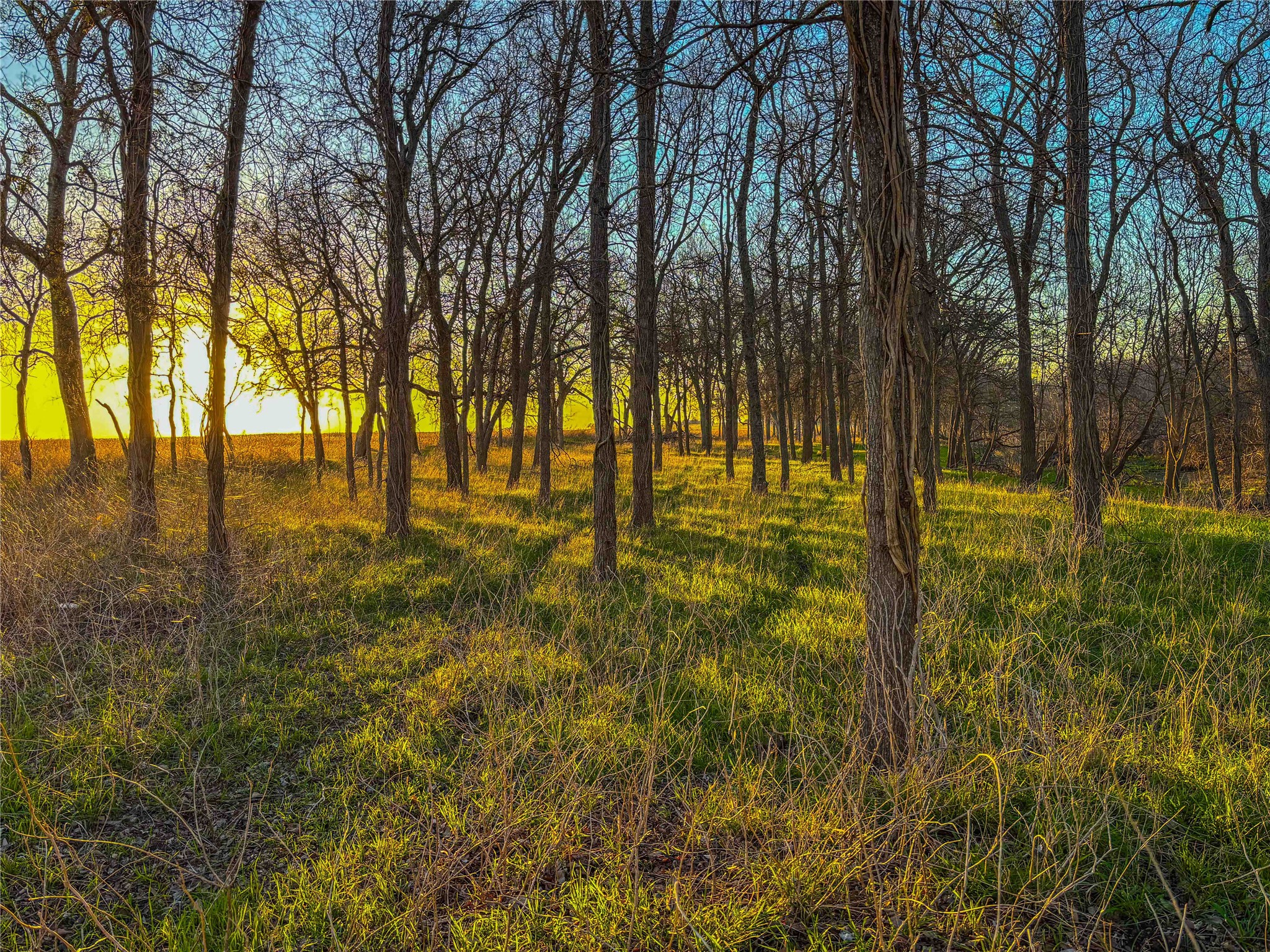 Tbd Round Hall Road Holland TX 76534