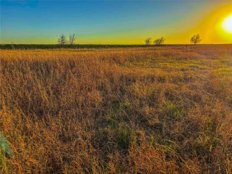 Tbd Round Hall Road Holland TX 76534
