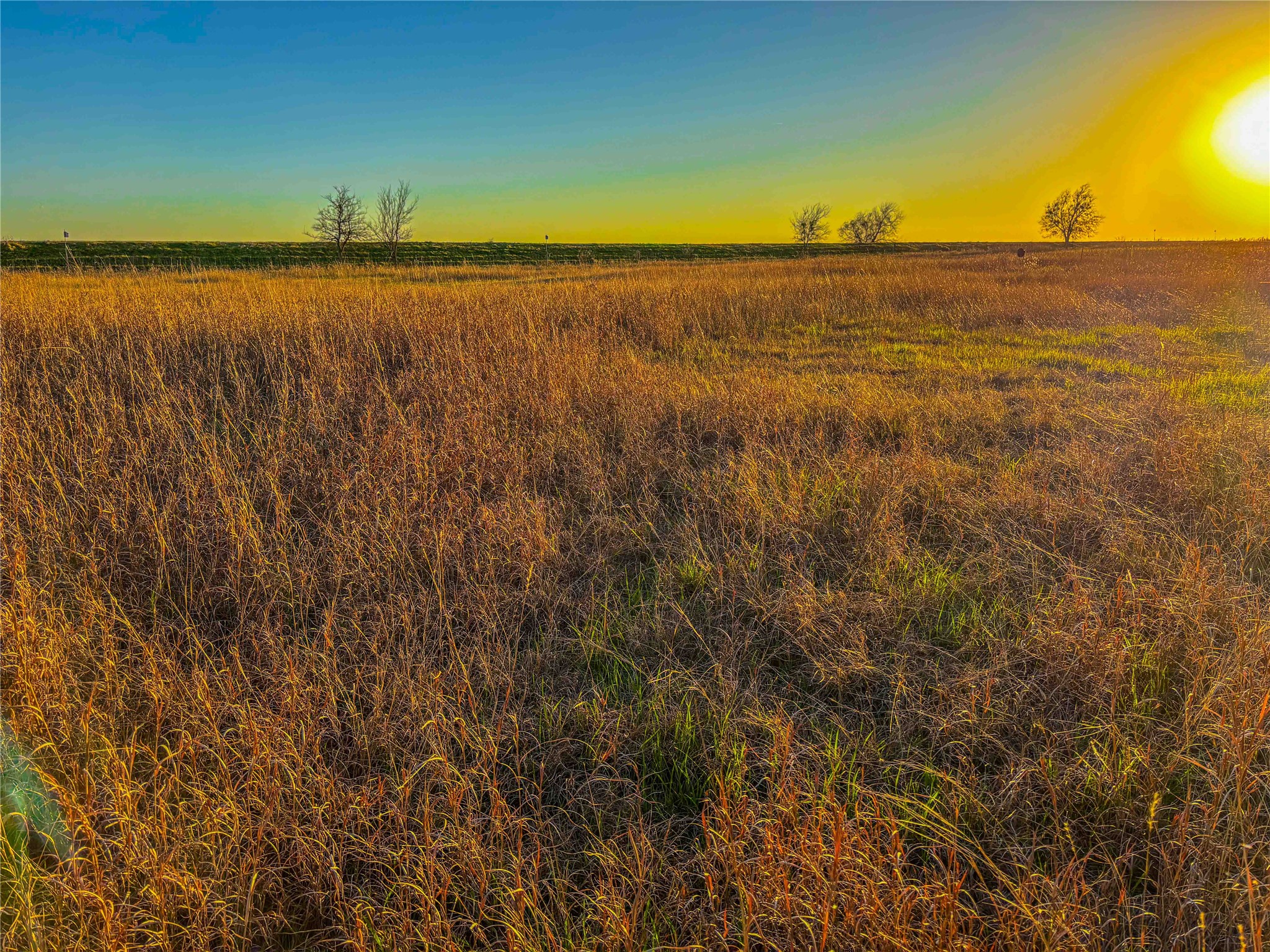 Tbd Round Hall Road Holland TX 76534