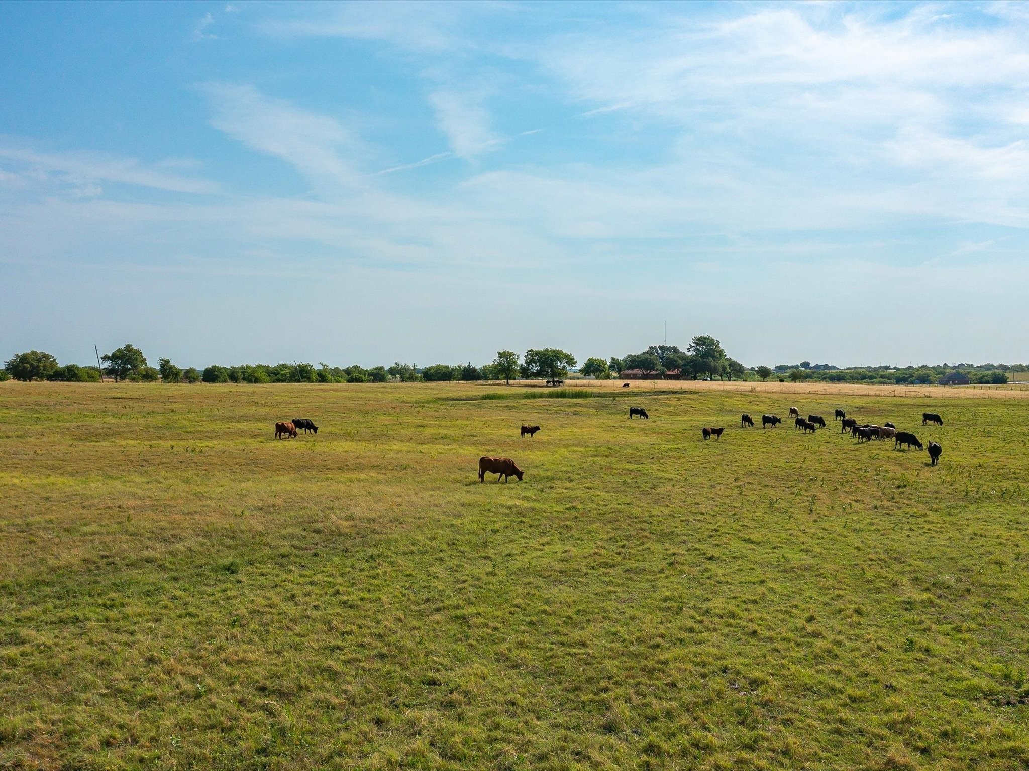 Tbd Lot 10 Valek Road Ennis TX 75119