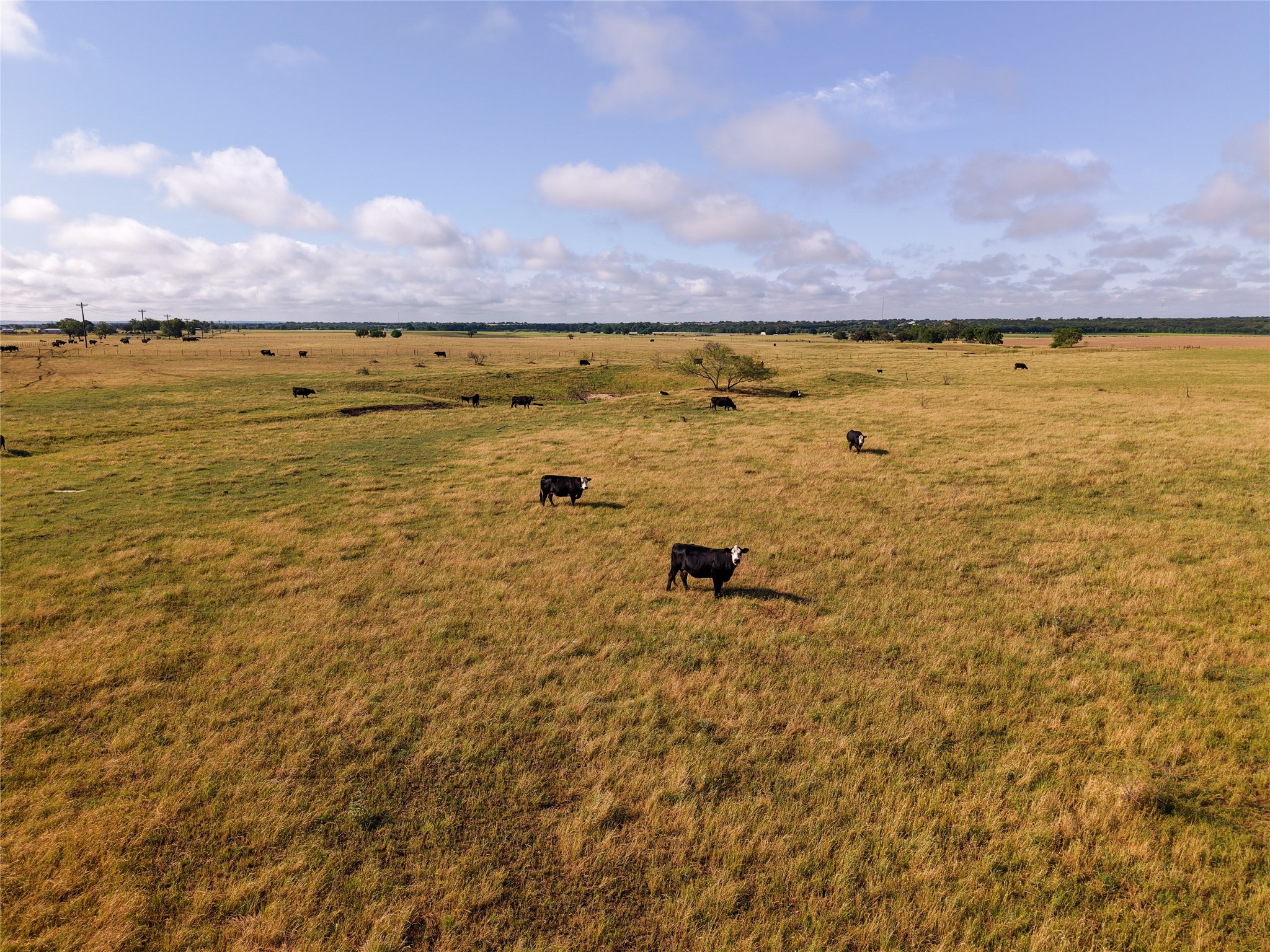Tbd Compton Road Crawford TX 76638