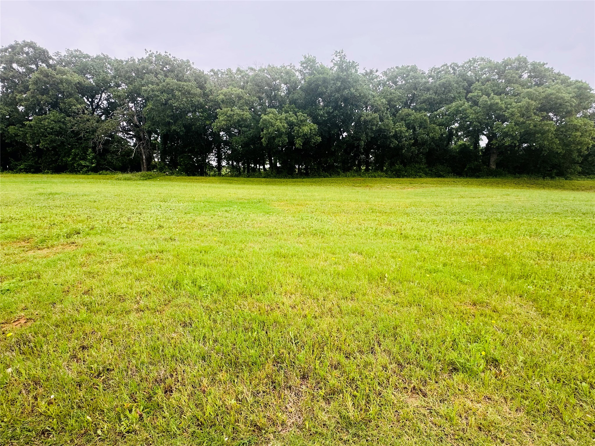 107 Kylie Street Cleburne TX 76031