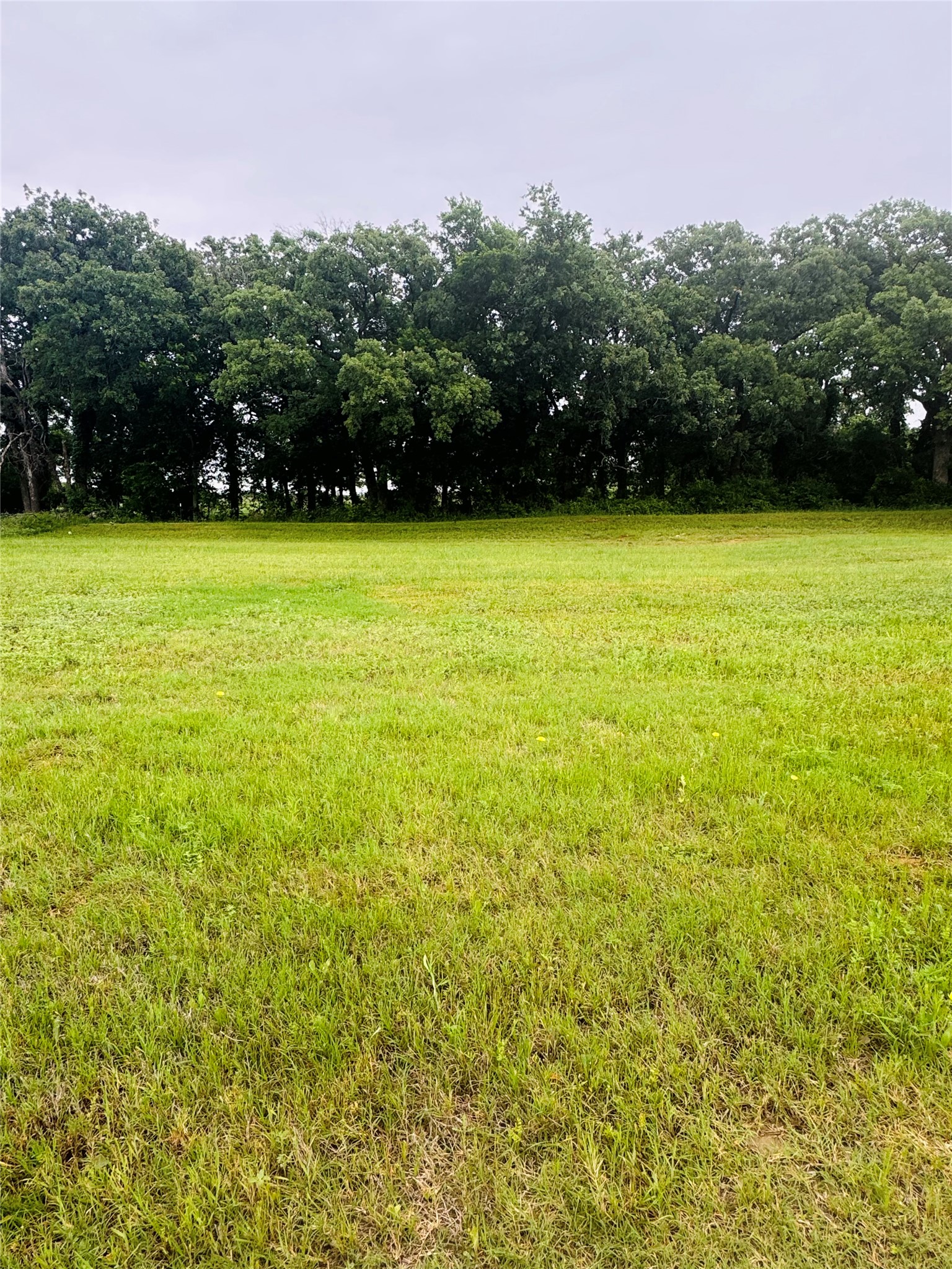 107 Kylie Street Cleburne TX 76031