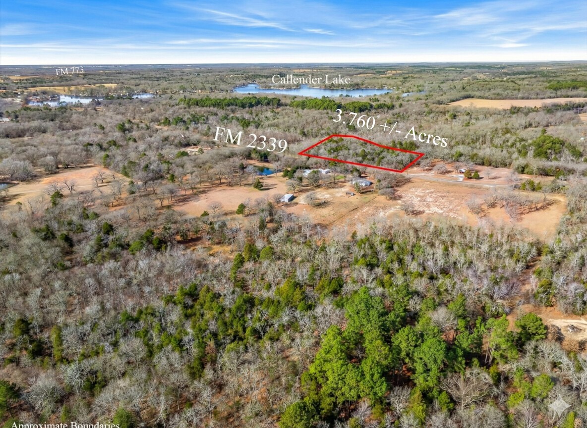 Lot 20,21,22 Fm 2339 (Callender Lake X) Murchison TX 75778