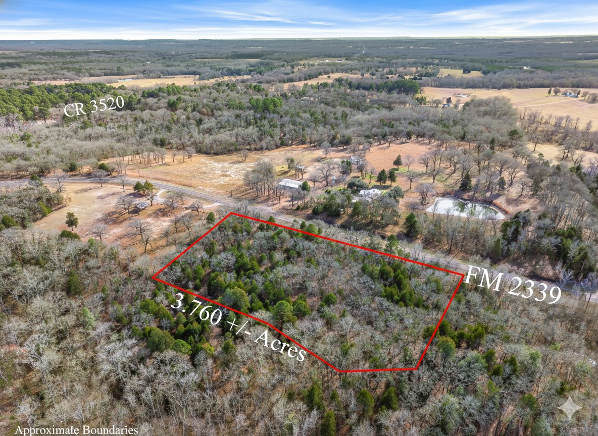Lot 20,21,22 Fm 2339 (Callender Lake X) Murchison TX 75778