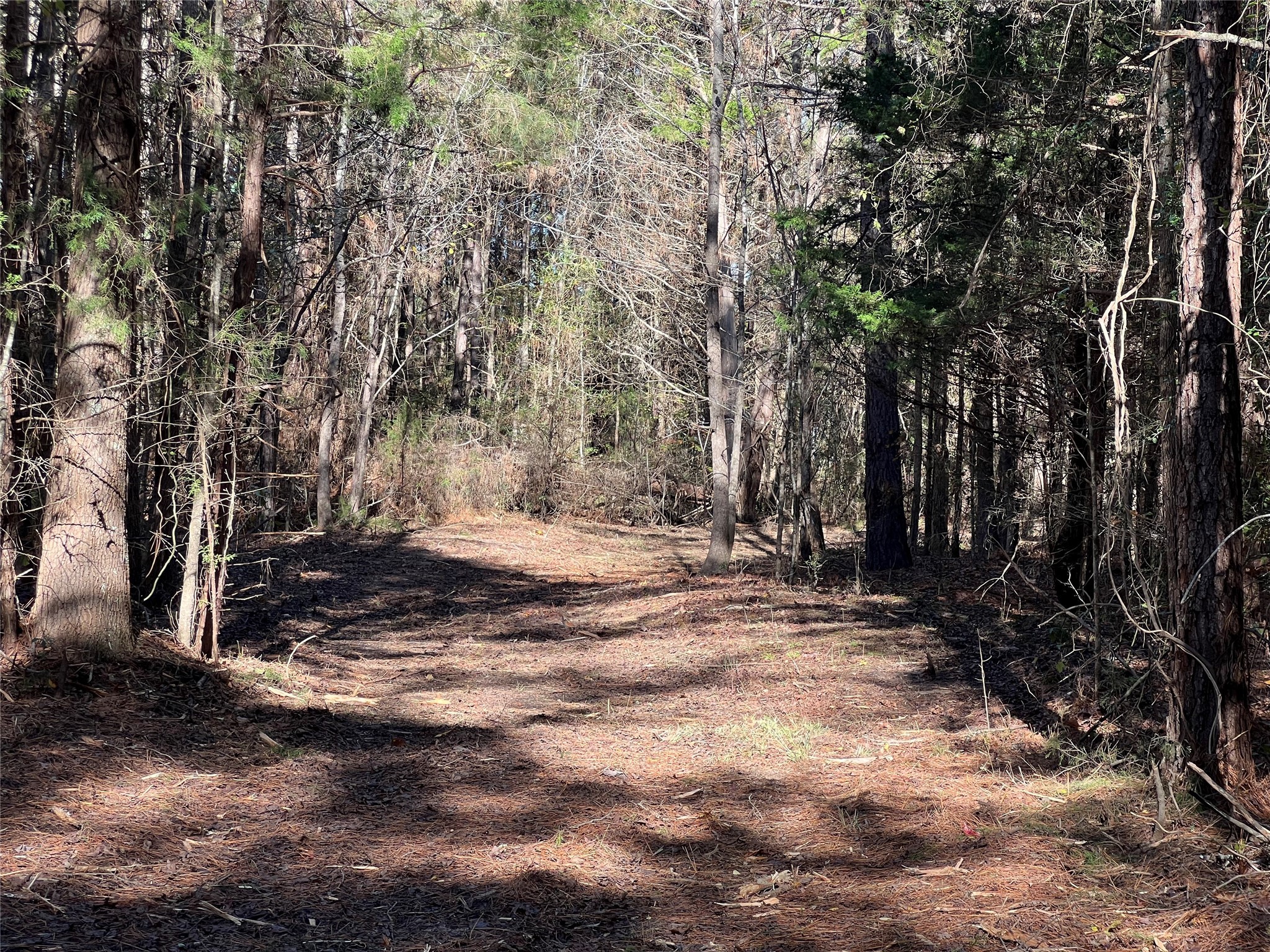 Tbd Cr 2921 Hughes Springs TX 75656