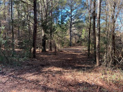 Tbd Cr 2921 Hughes Springs TX 75656