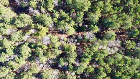Tbd Cr 2921 Hughes Springs TX 75656