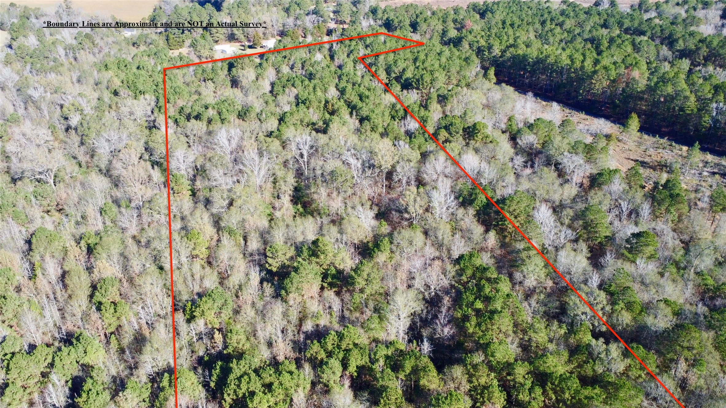 Tbd Cr 2921 Hughes Springs TX 75656