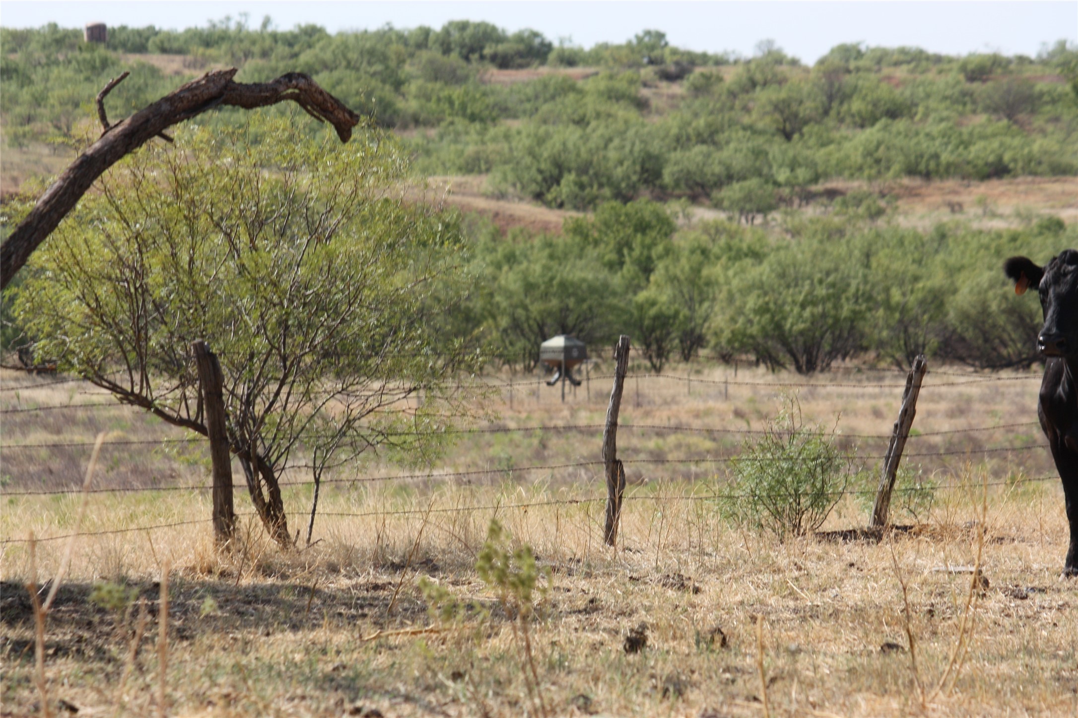 Tbd 1790 Seymour TX 76380