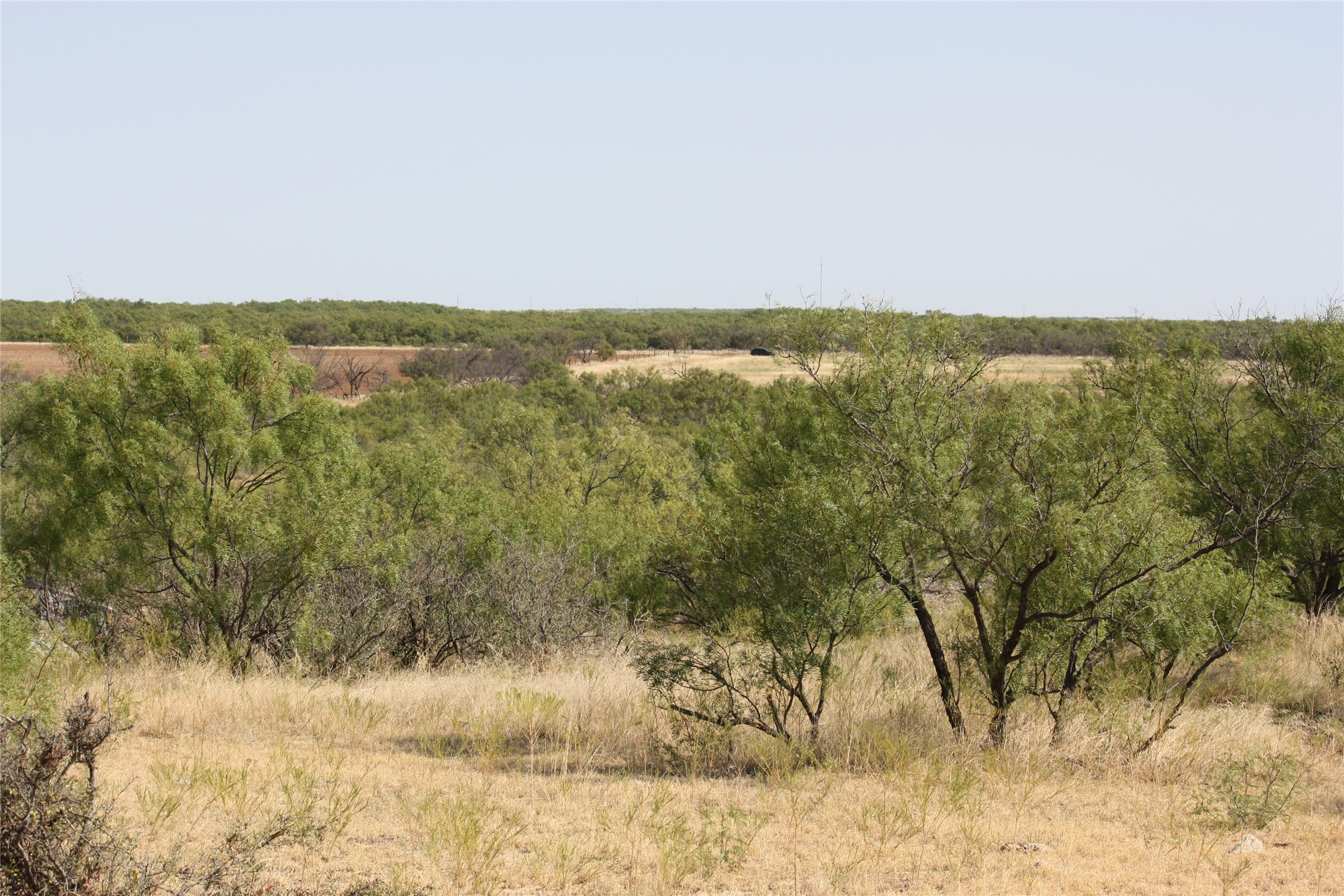 Tbd 1790 Seymour TX 76380