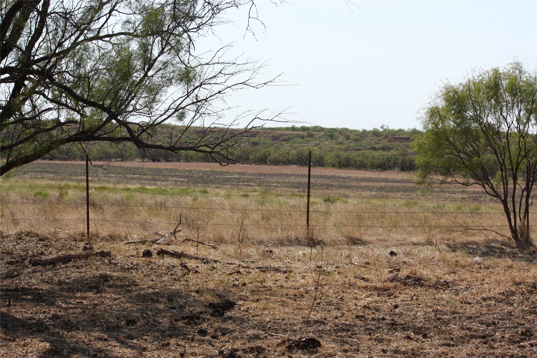 Tbd 1790 Seymour TX 76380