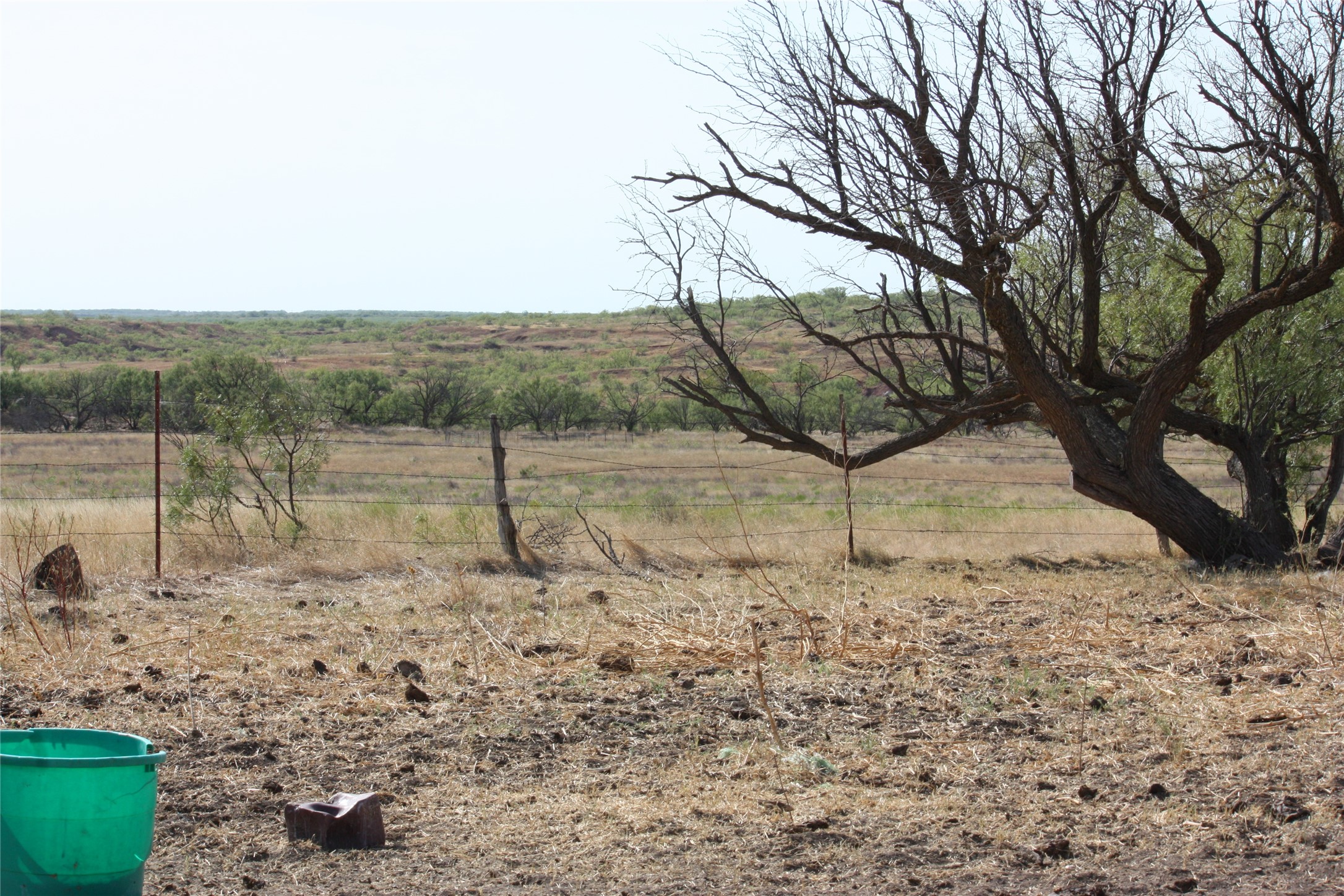 Tbd 1790 Seymour TX 76380