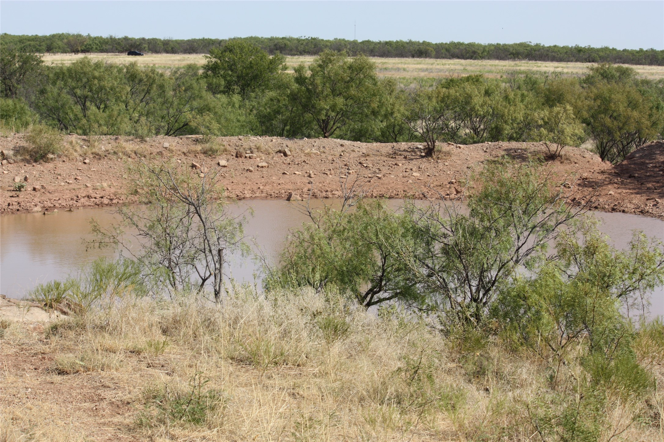 Tbd 1790 Seymour TX 76380