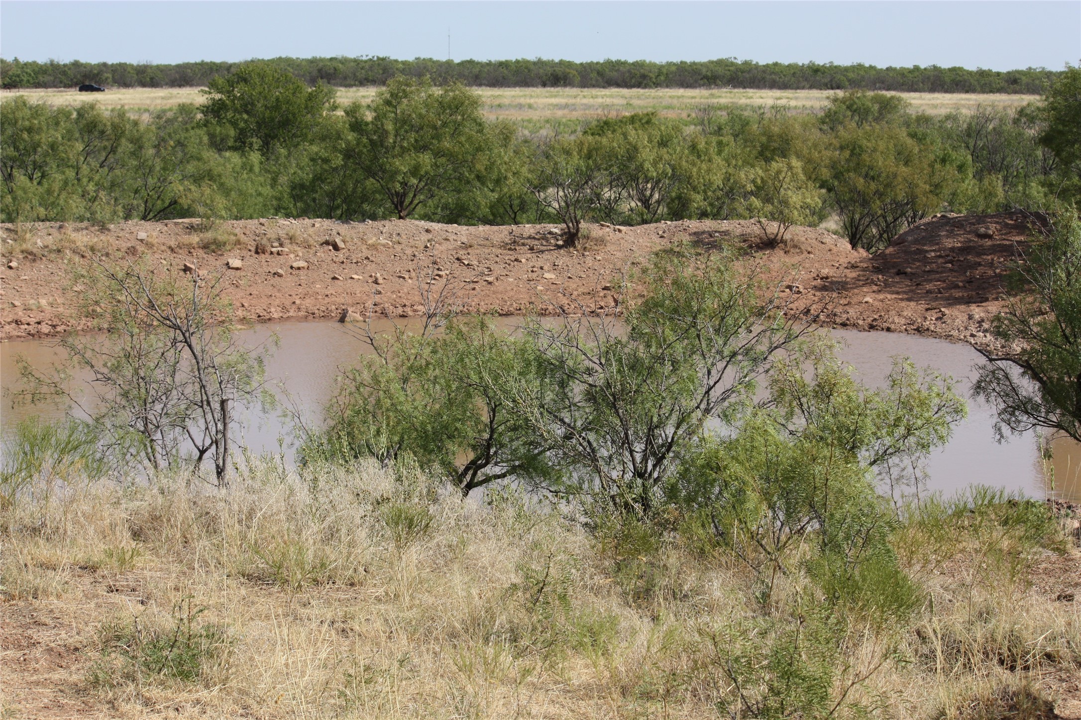 Tbd 1790 Seymour TX 76380