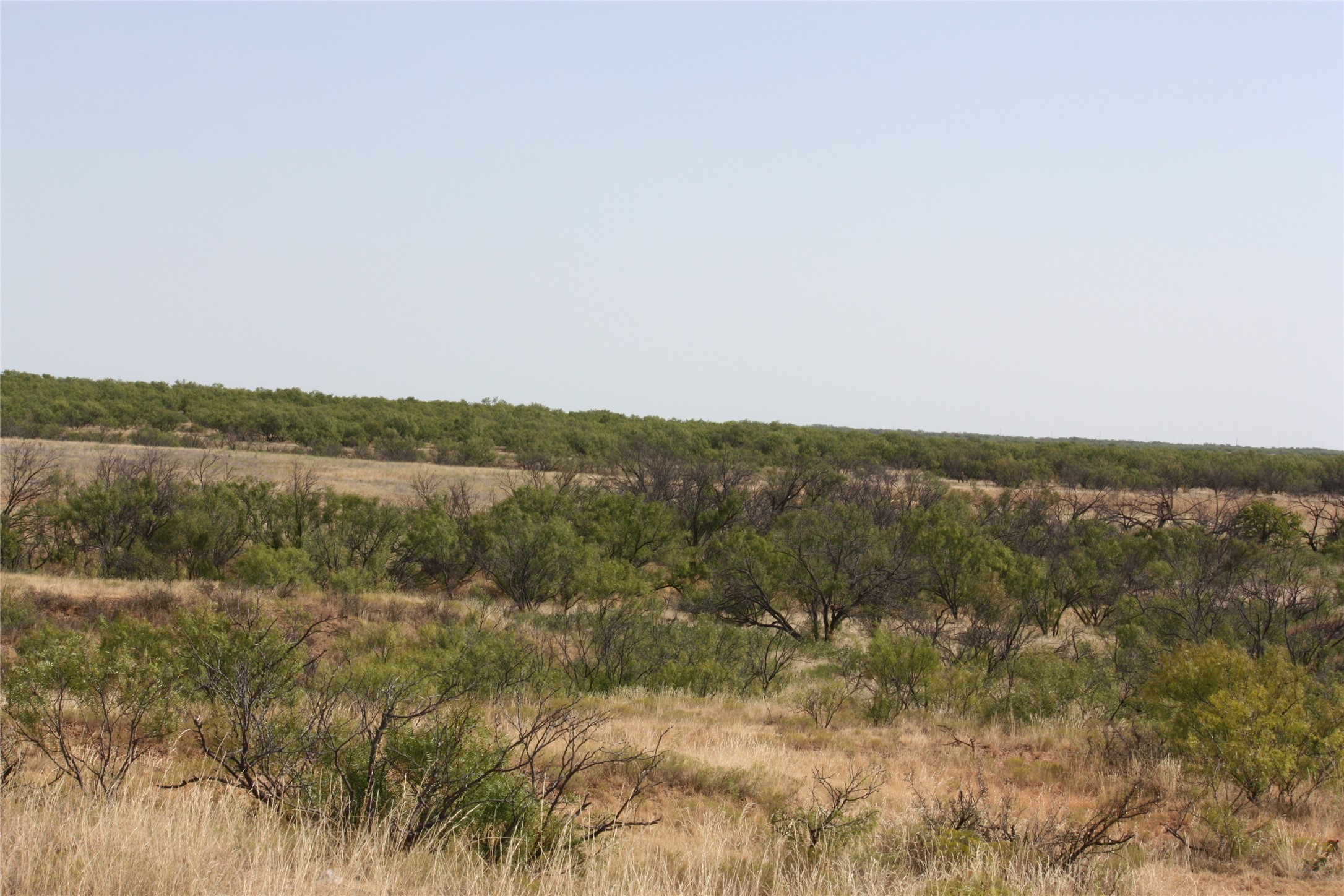 Tbd 1790 Seymour TX 76380