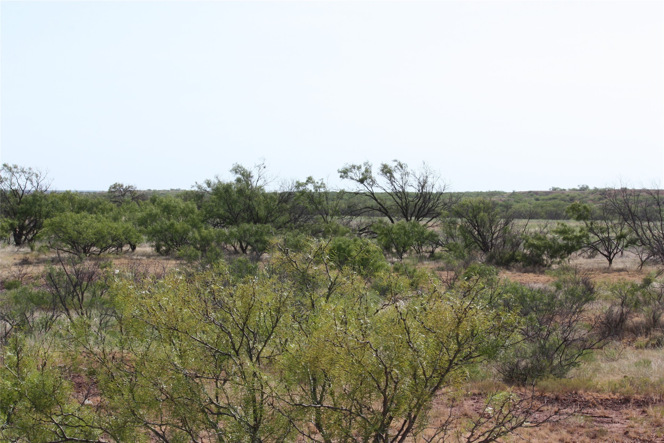 Tbd 1790 Seymour TX 76380