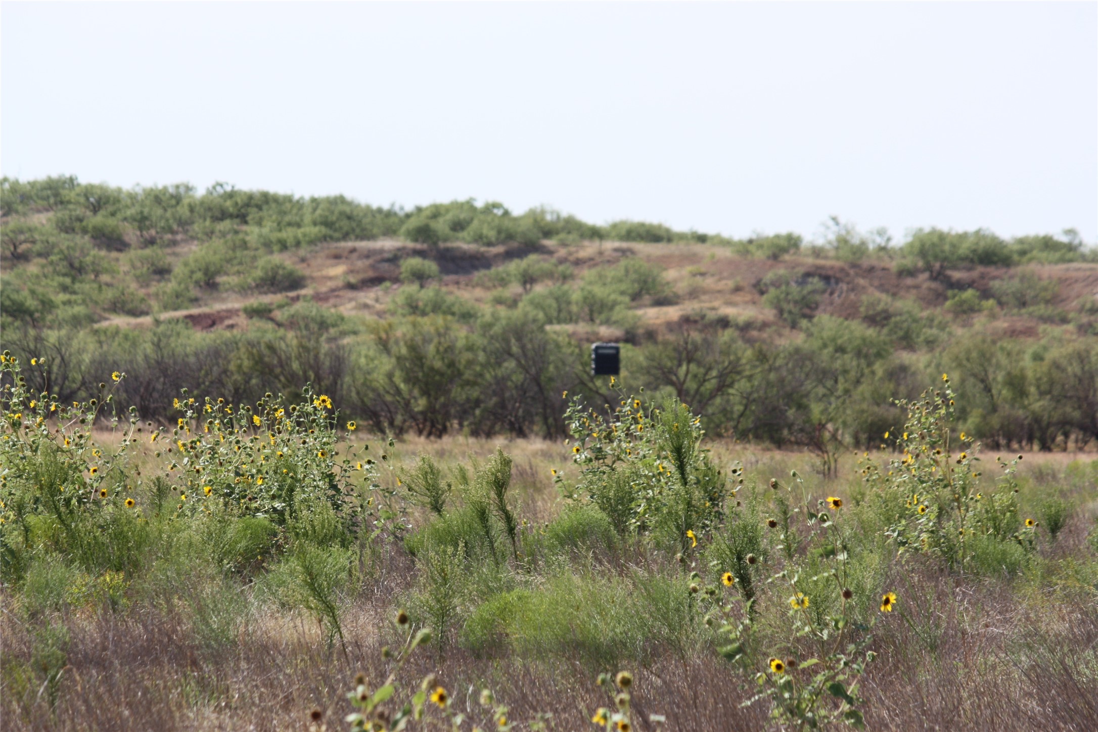 Tbd 1790 Seymour TX 76380