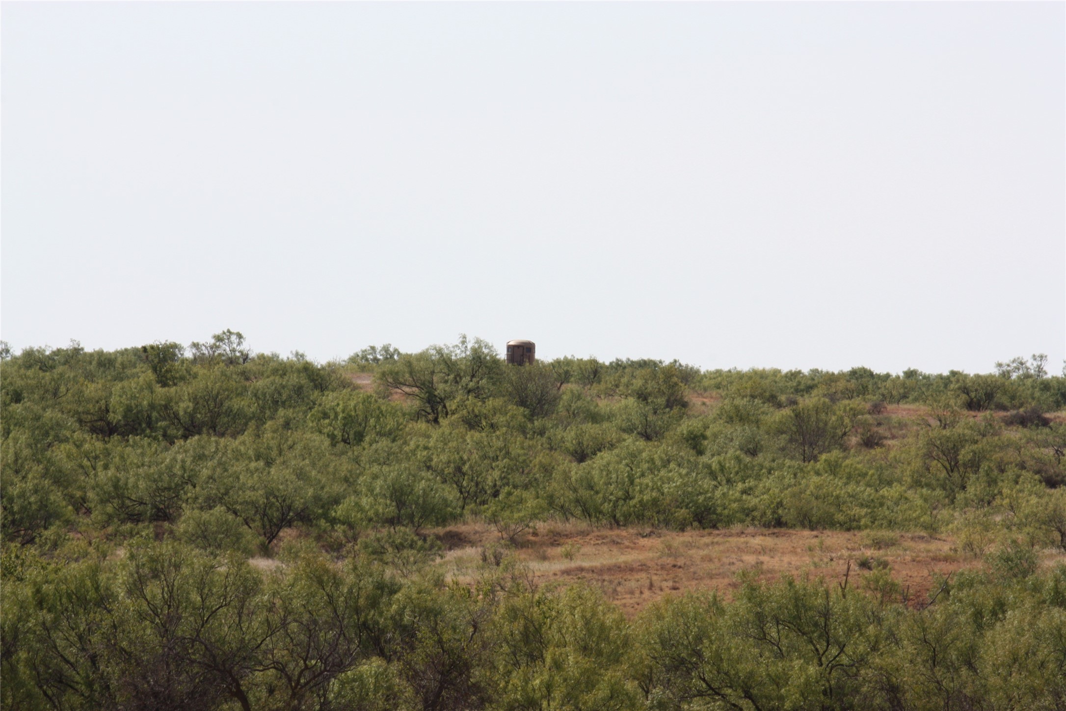 Tbd 1790 Seymour TX 76380