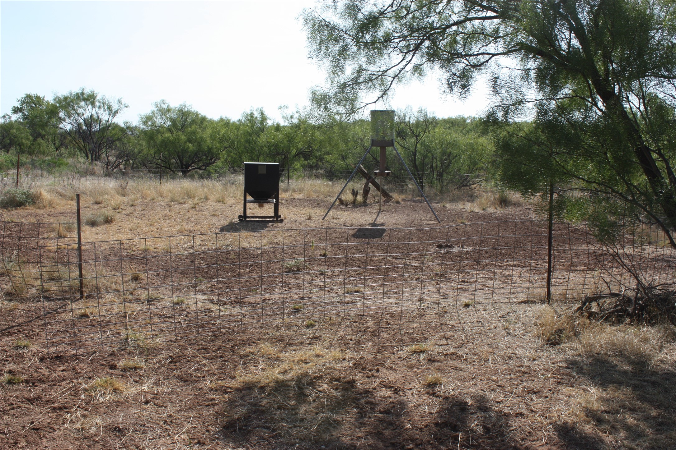 Tbd 1790 Seymour TX 76380