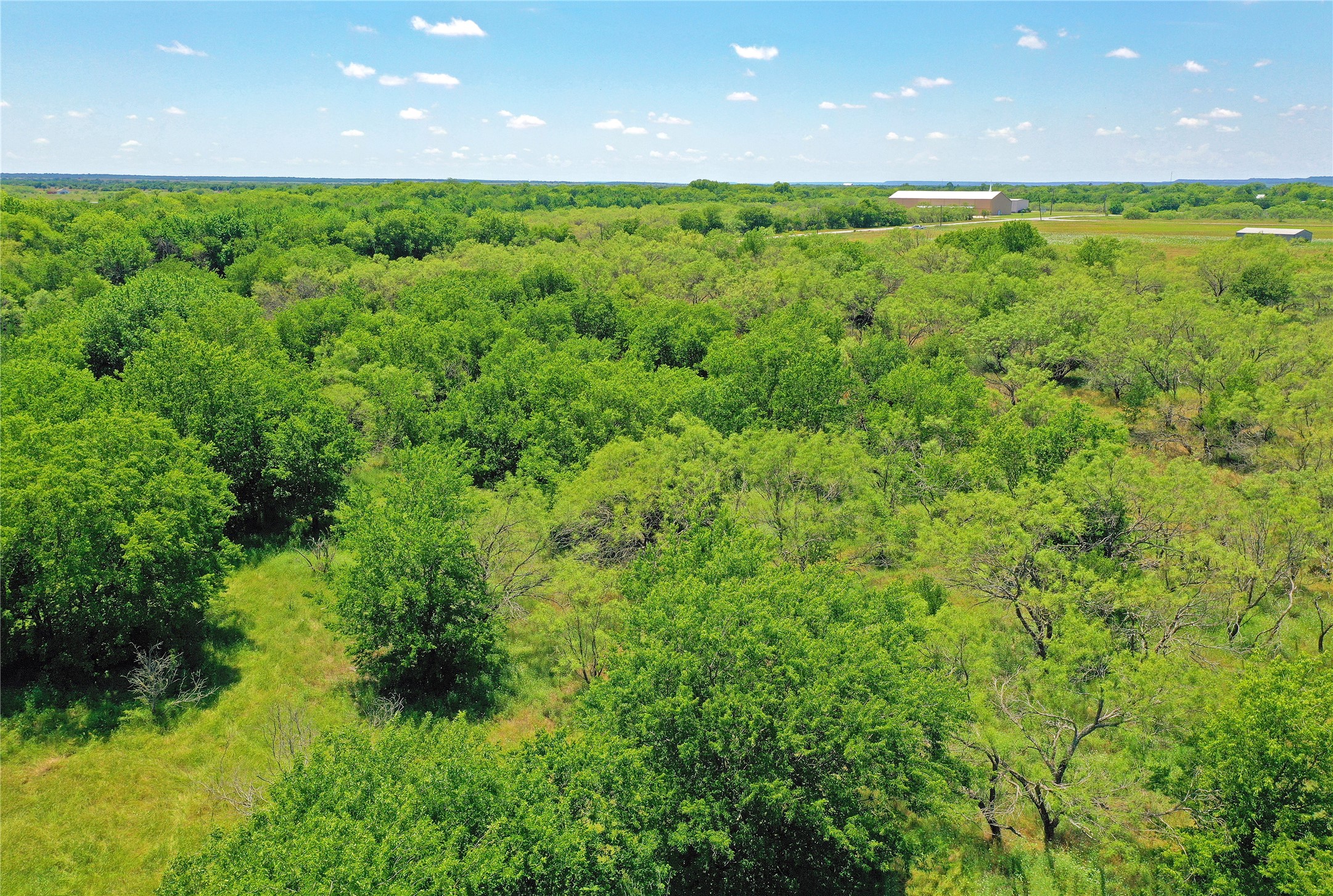 36 Acres Fm 2210 Perrin TX 76486