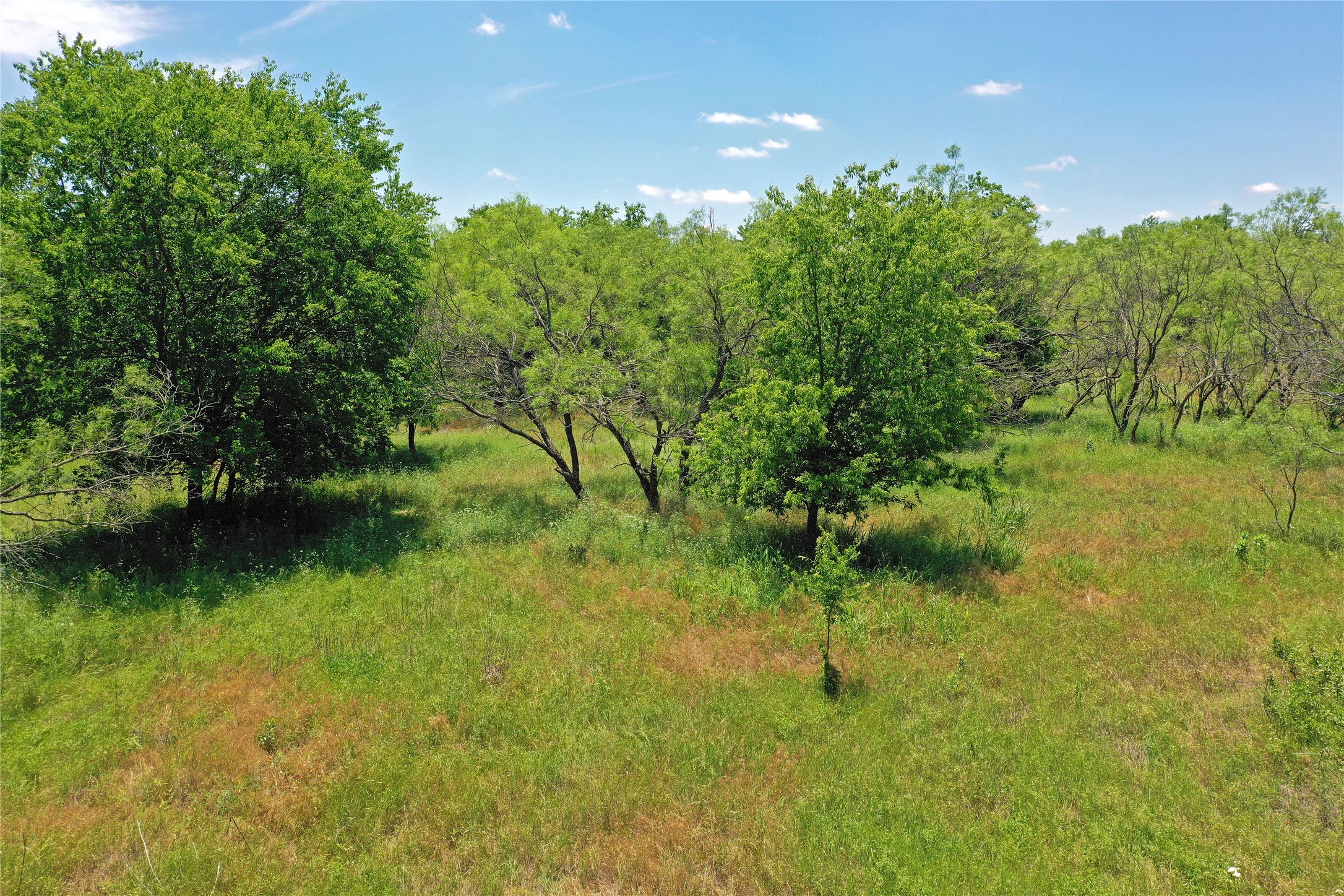 36 Acres Fm 2210 Perrin TX 76486