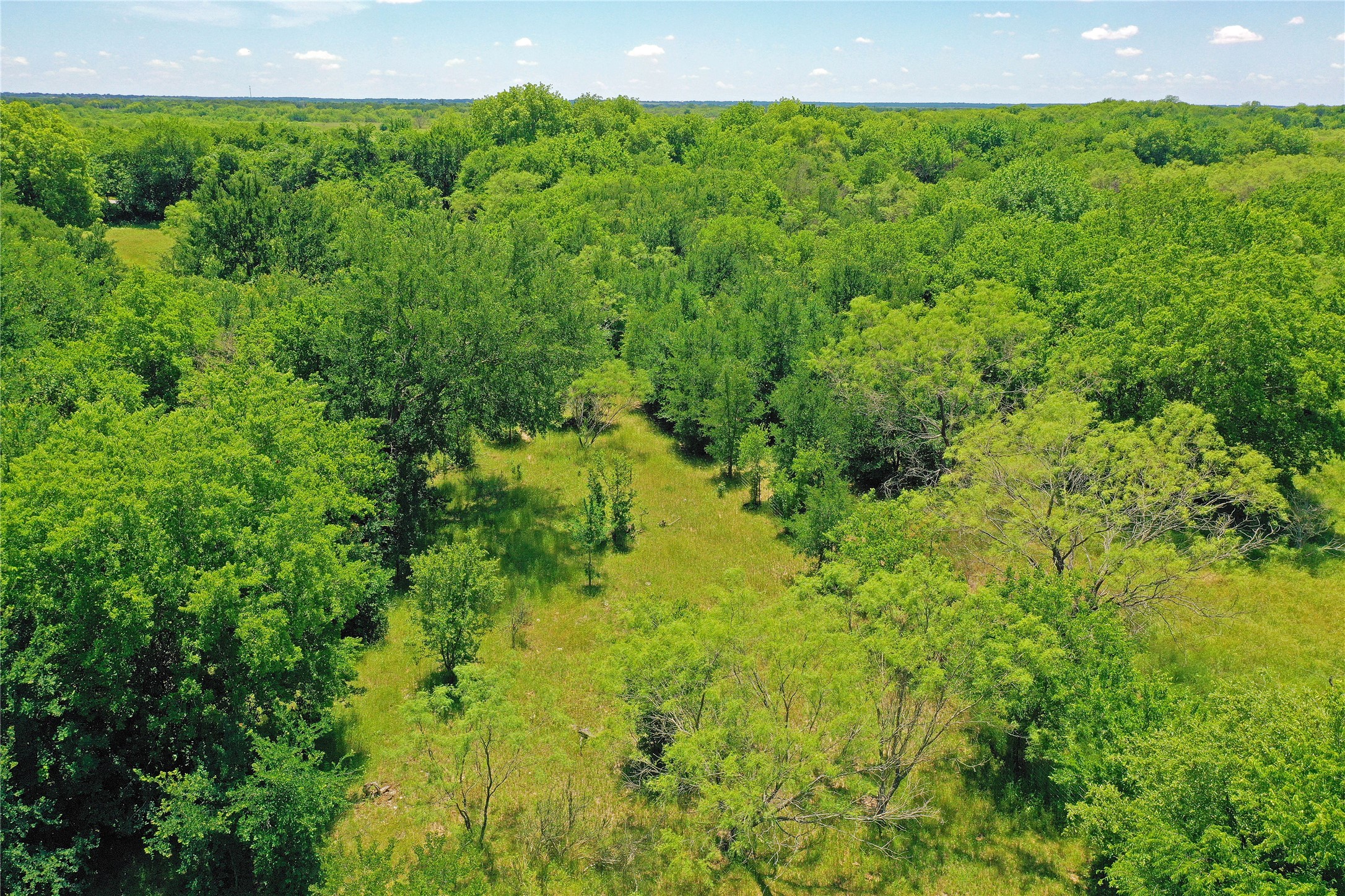 36 Acres Fm 2210 Perrin TX 76486