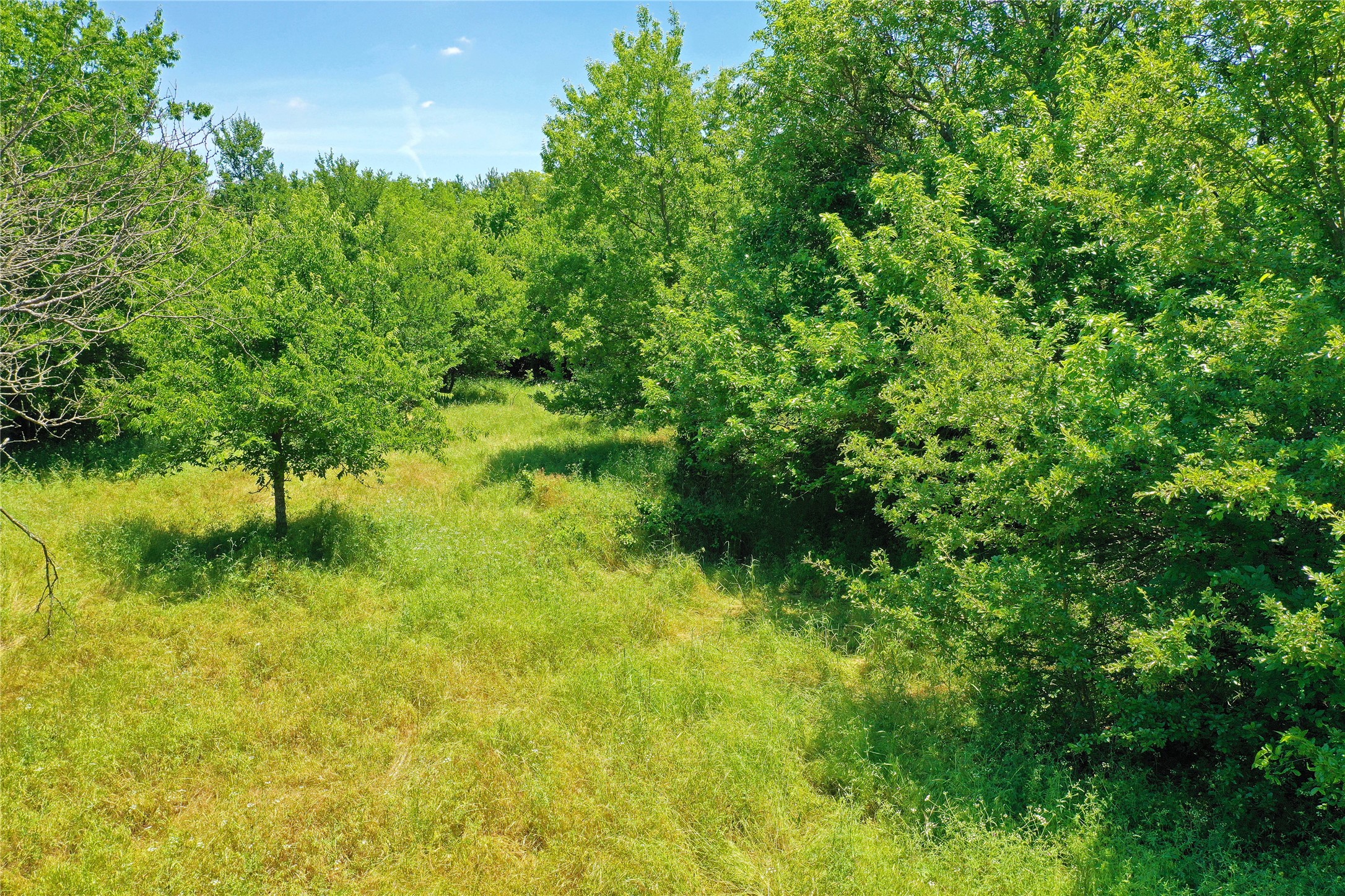 36 Acres Fm 2210 Perrin TX 76486
