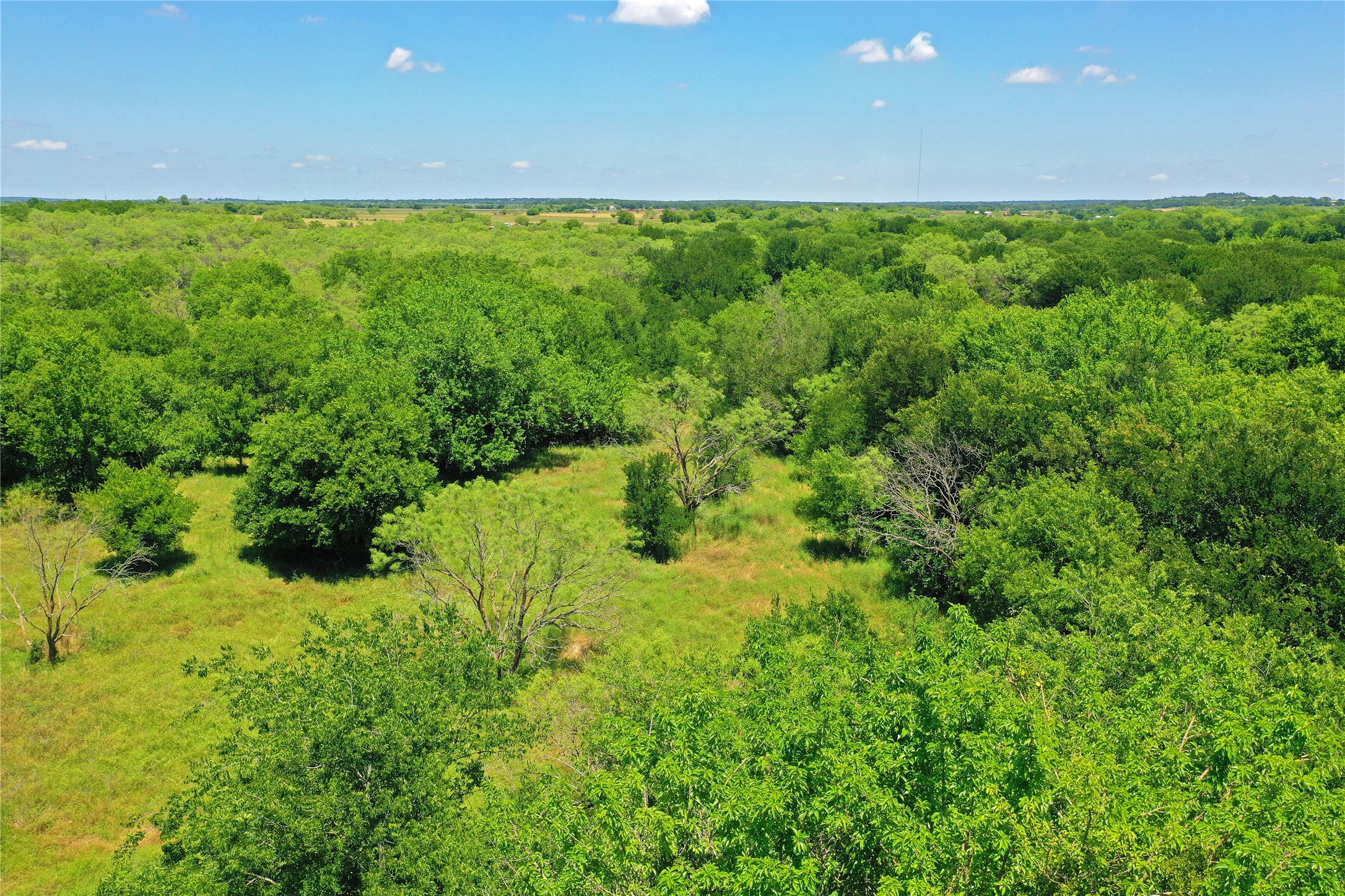 36 Acres Fm 2210 Perrin TX 76486