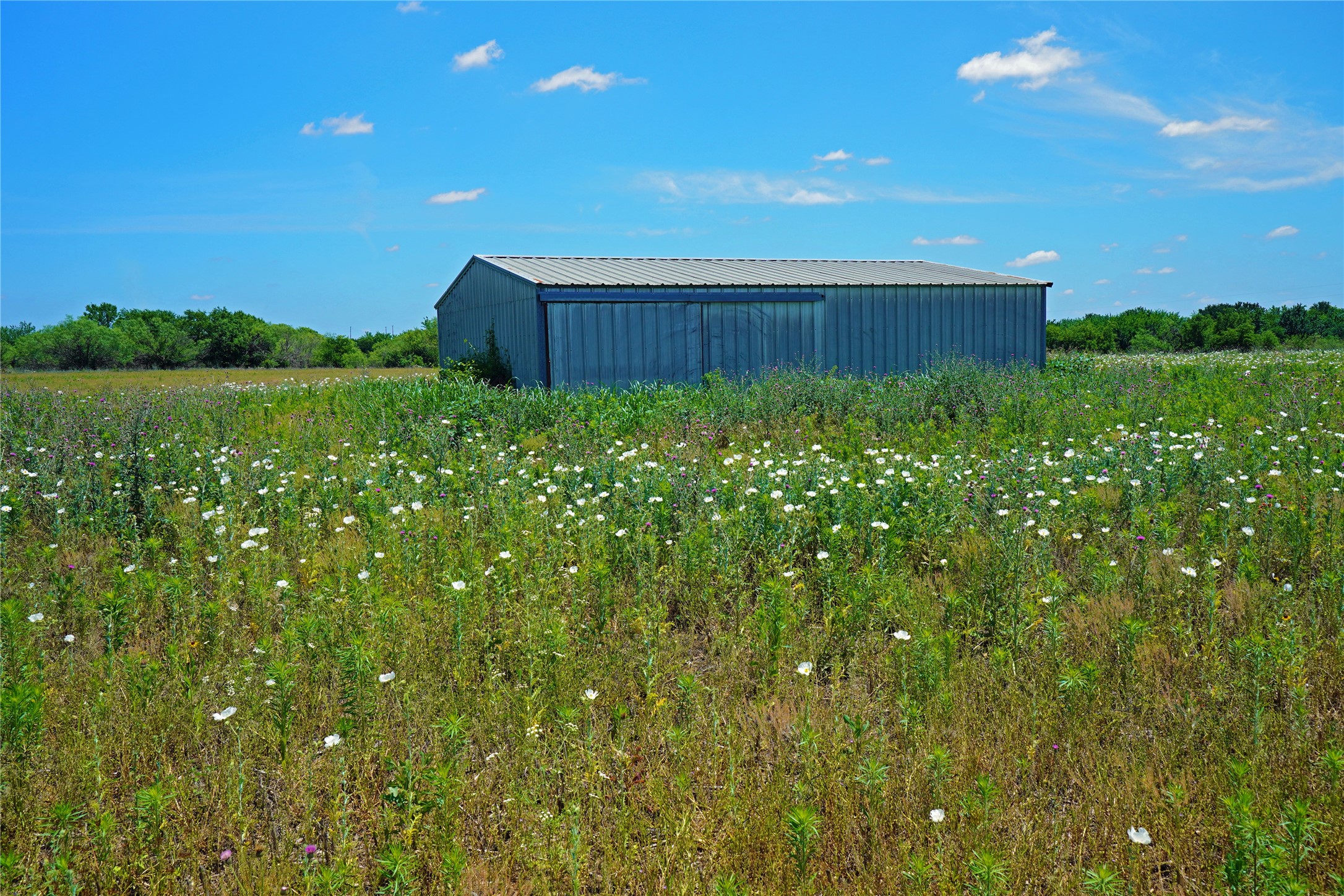 36 Acres Fm 2210 Perrin TX 76486