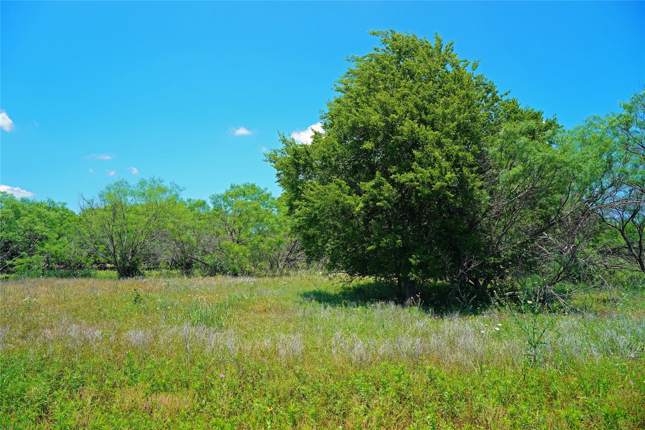 36 Acres Fm 2210 Perrin TX 76486