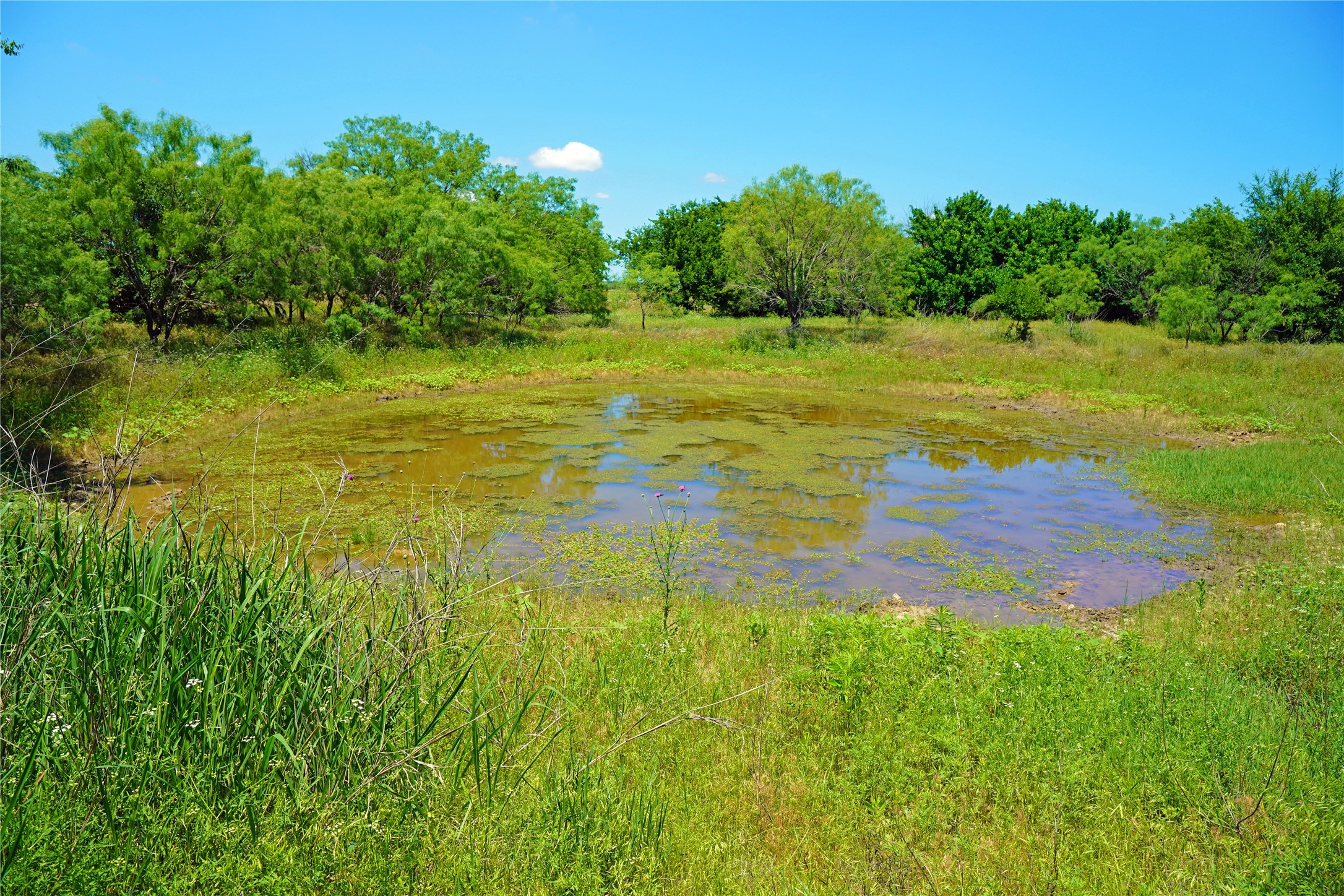 36 Acres Fm 2210 Perrin TX 76486
