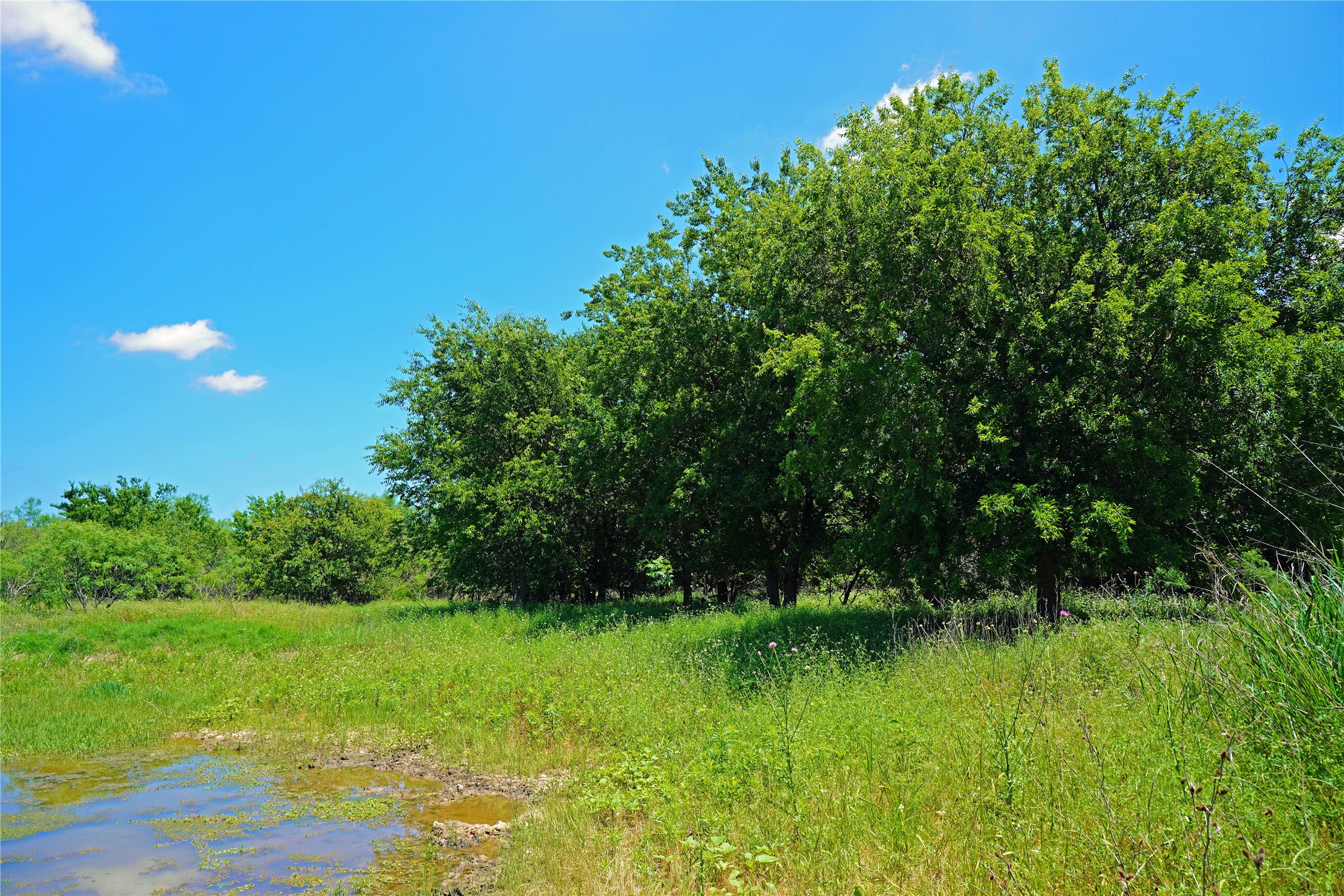 36 Acres Fm 2210 Perrin TX 76486