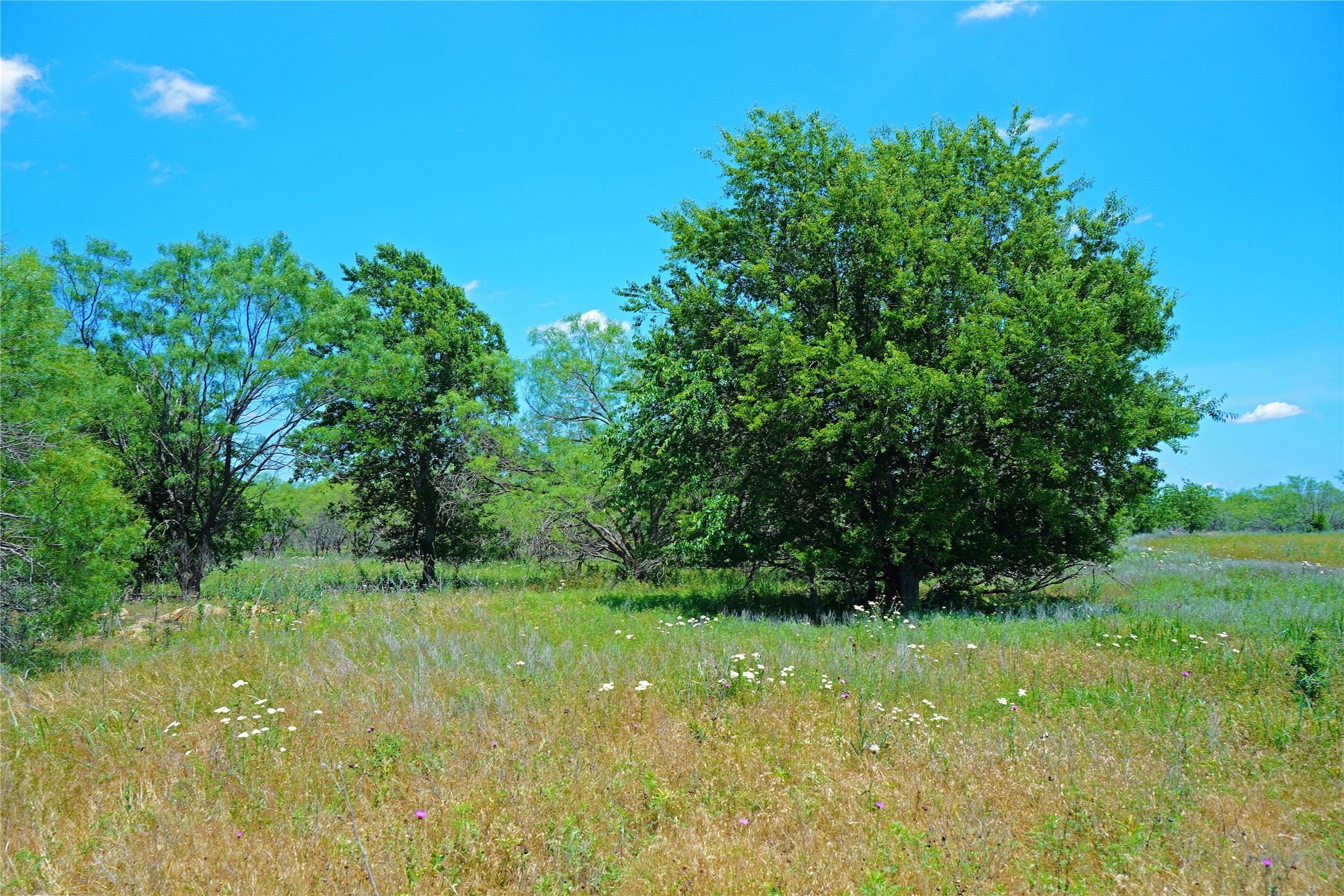 36 Acres Fm 2210 Perrin TX 76486