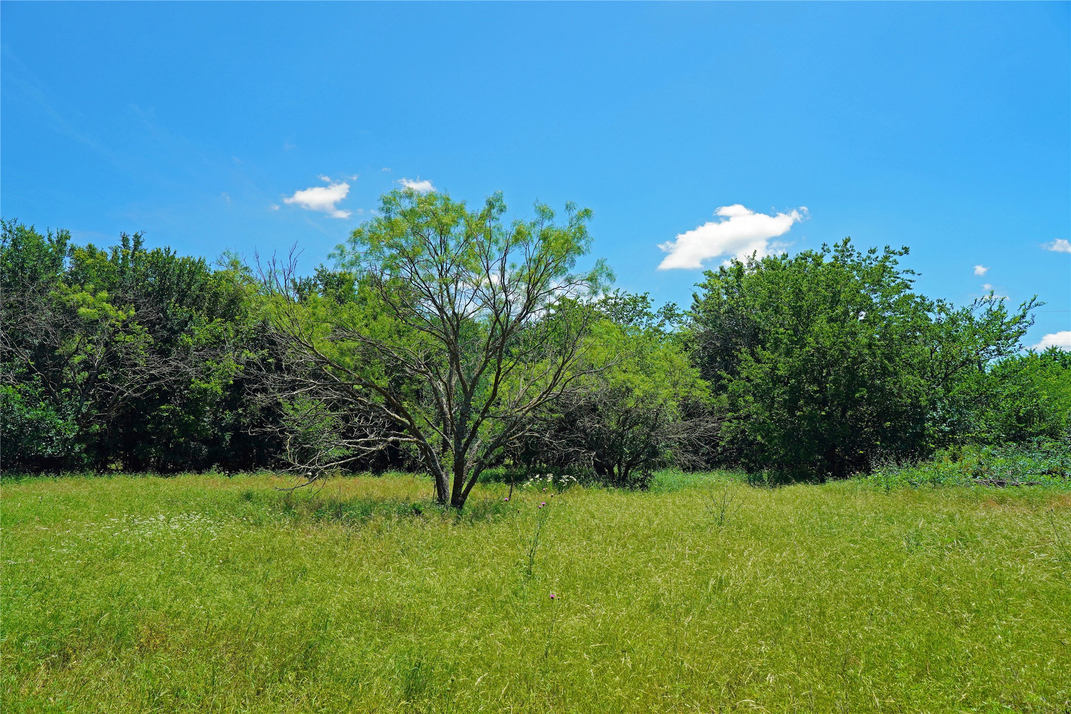 36 Acres Fm 2210 Perrin TX 76486
