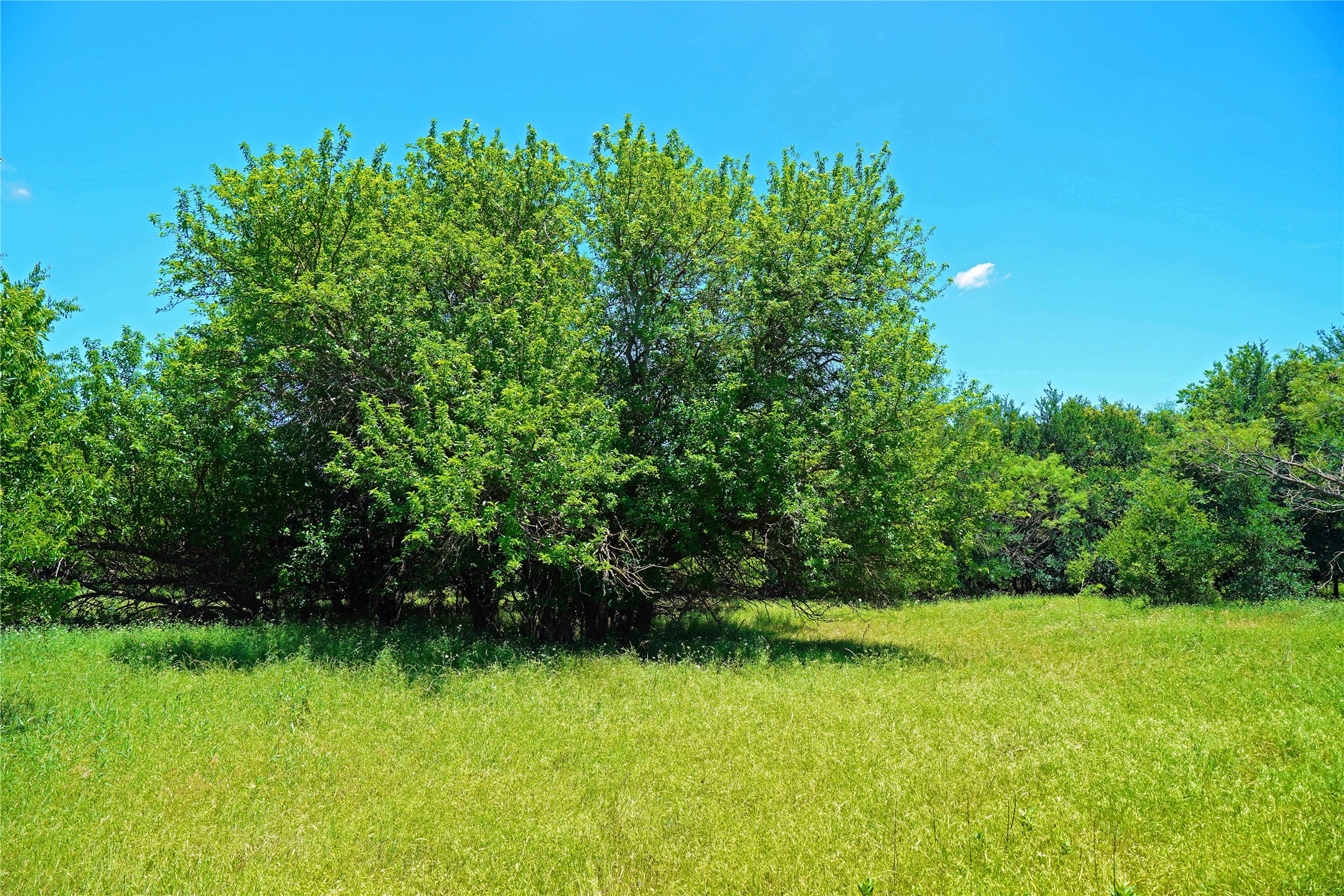 36 Acres Fm 2210 Perrin TX 76486