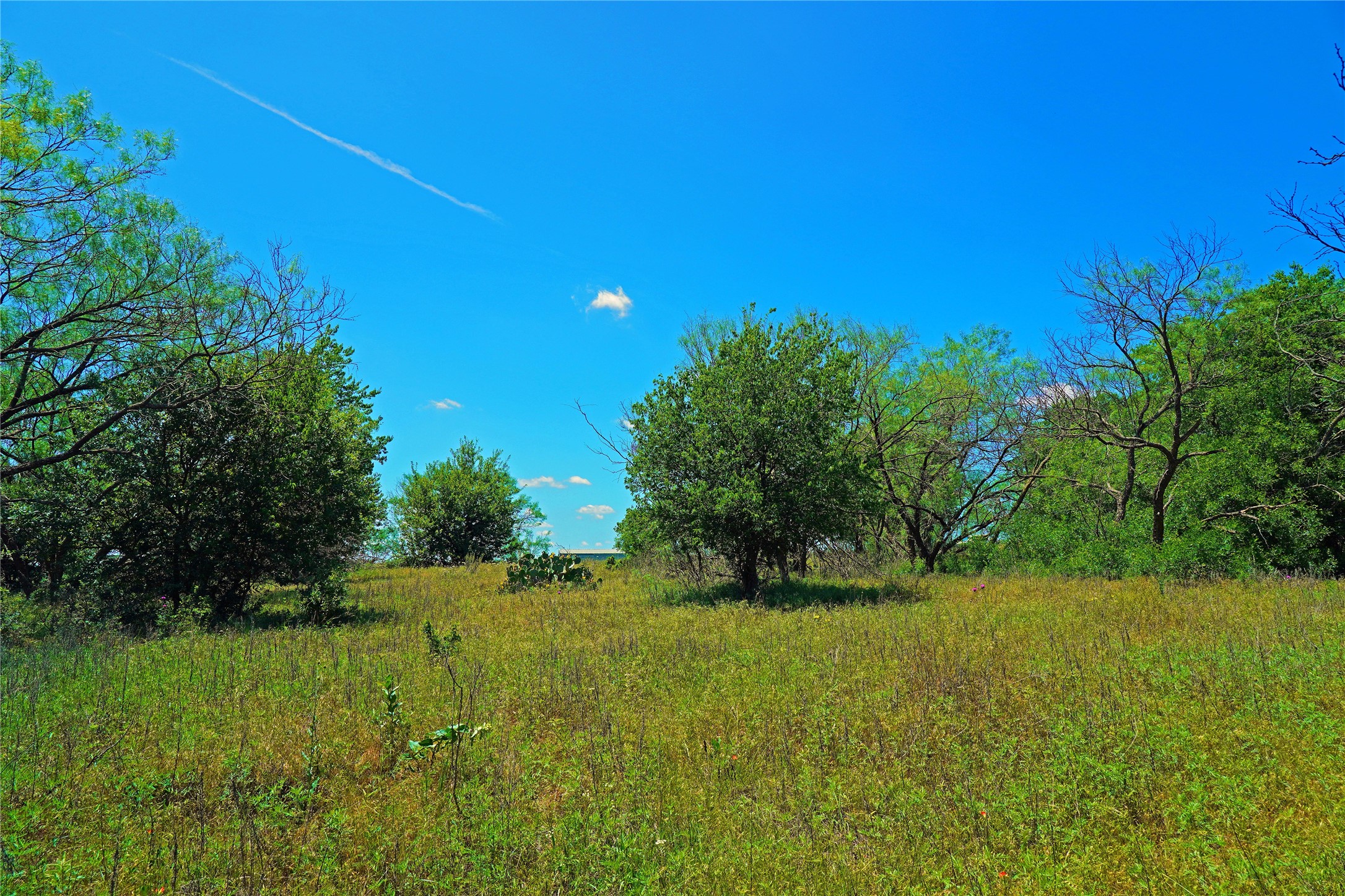 36 Acres Fm 2210 Perrin TX 76486