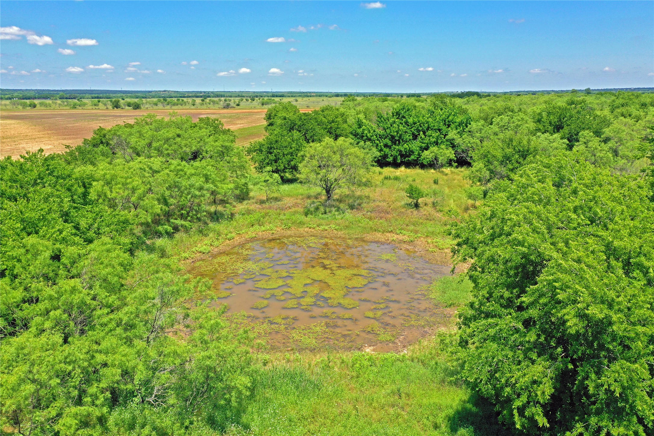 36 Acres Fm 2210 Perrin TX 76486