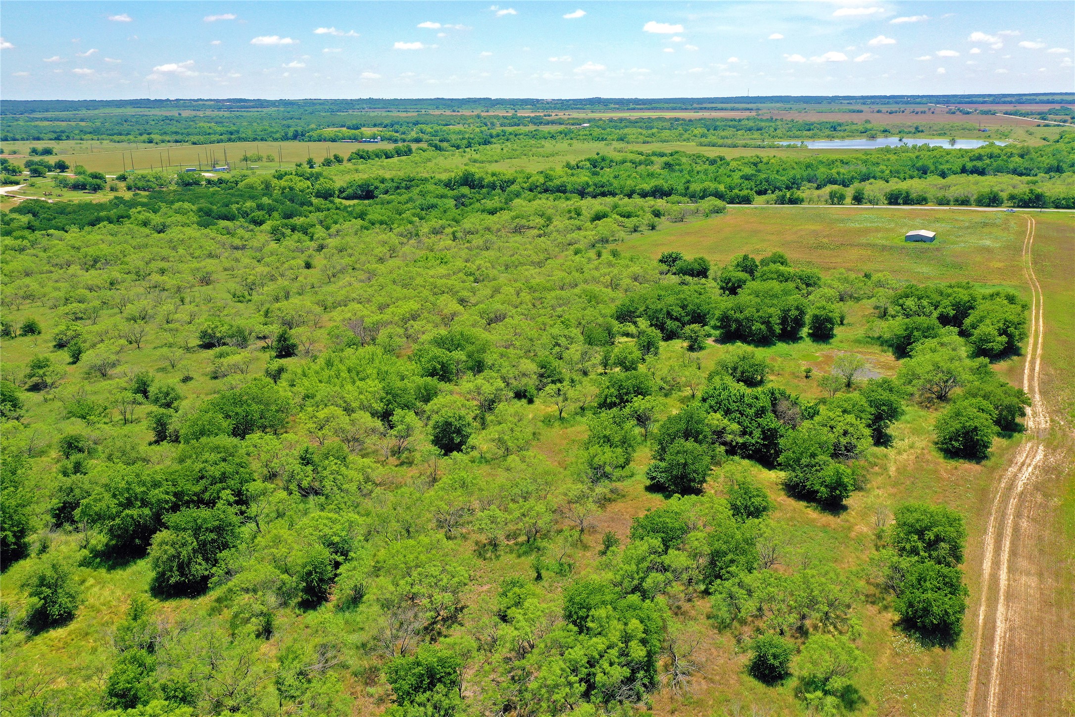 36 Acres Fm 2210 Perrin TX 76486