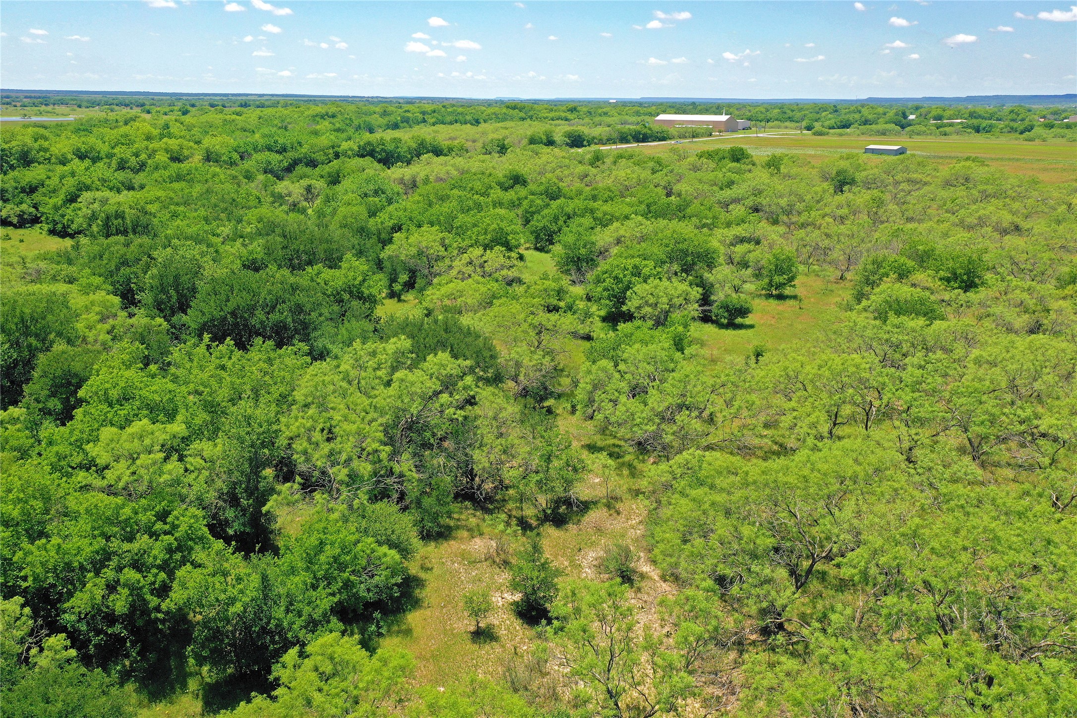 36 Acres Fm 2210 Perrin TX 76486
